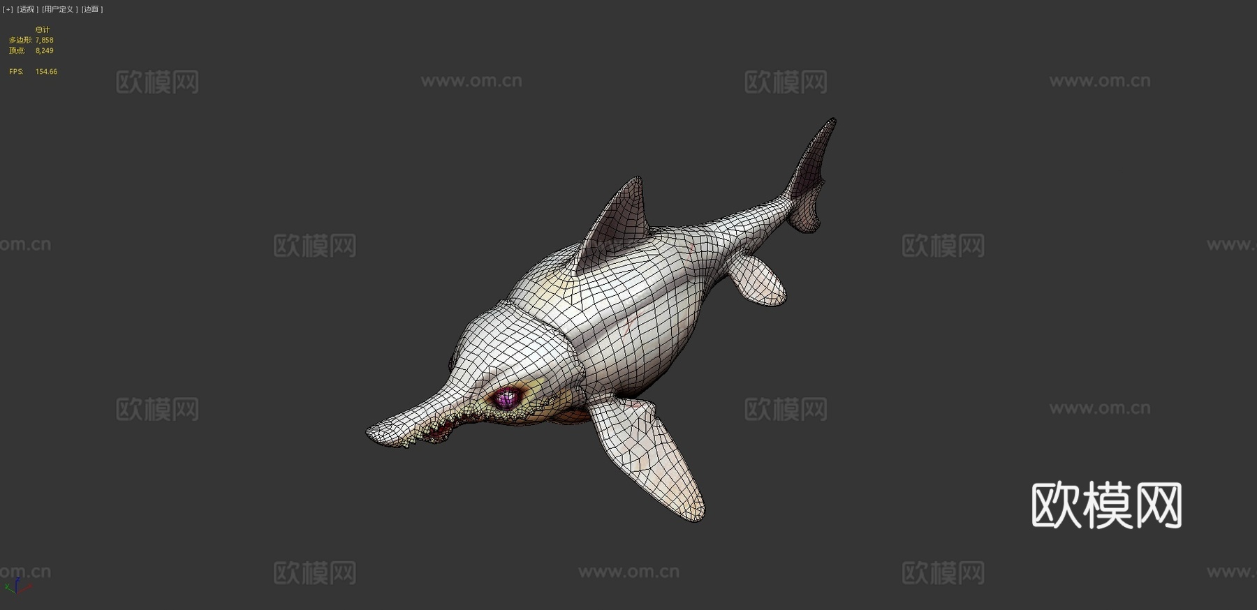 海豚鱼龙回声3d模型3d模型下载（渲染图4）