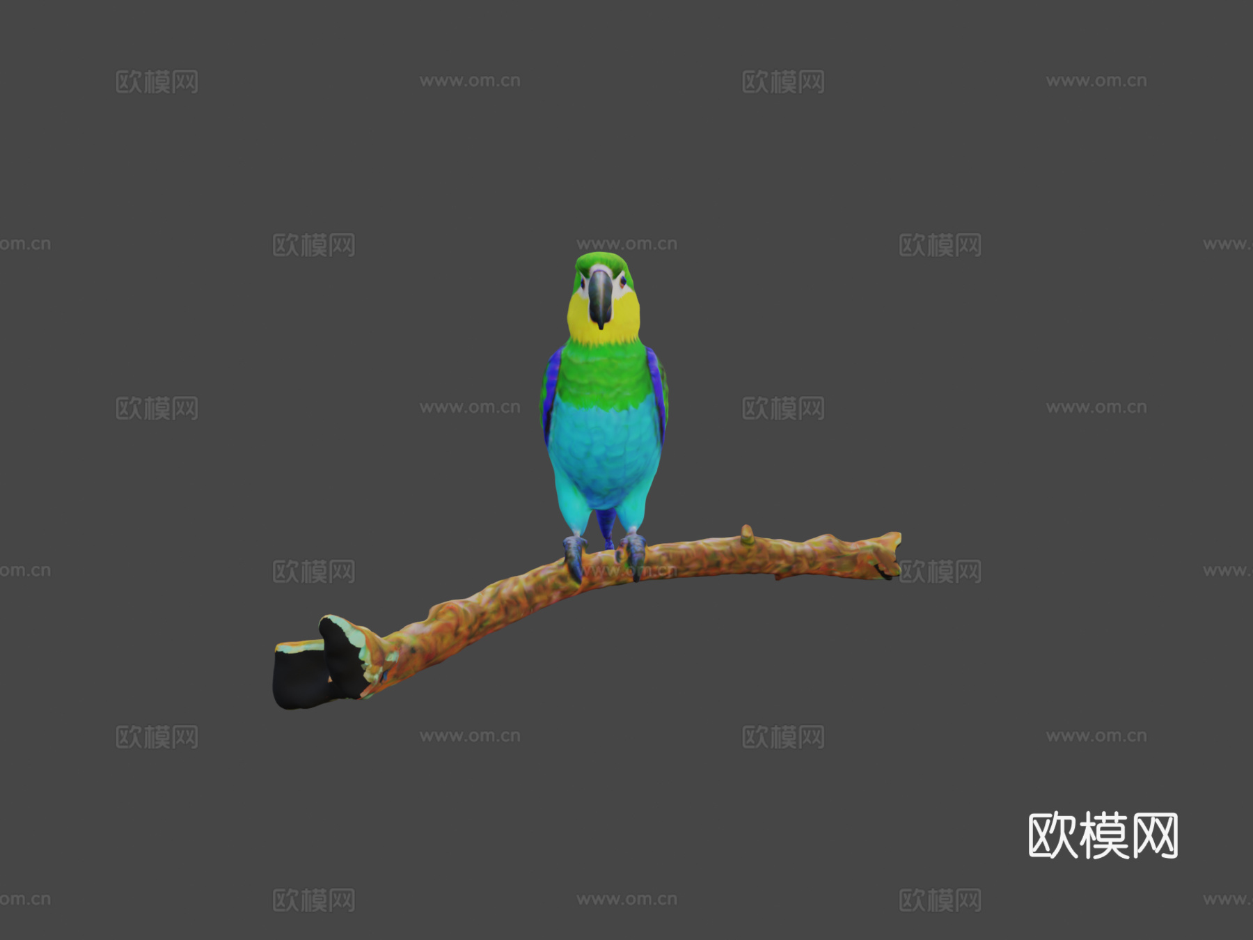 鹦鹉3d模型下载（渲染图8）