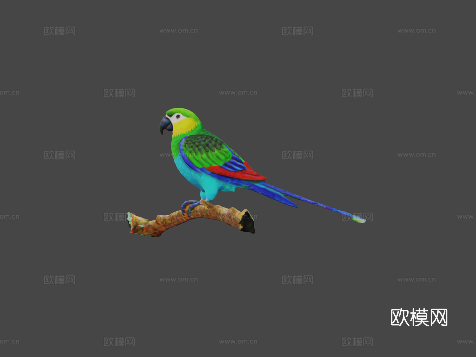 鹦鹉3d模型下载（渲染图7）