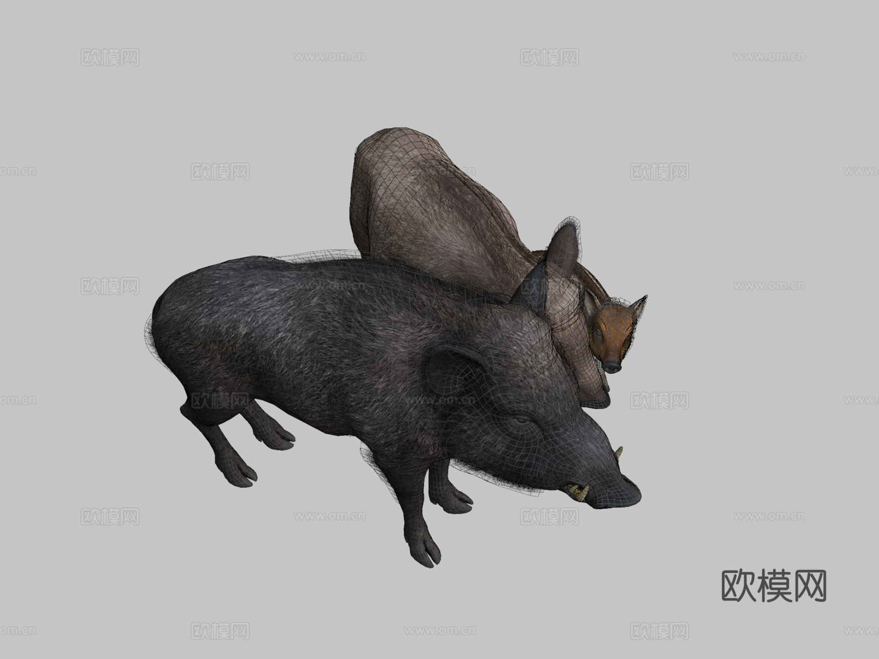 野猪家族3d模型下载（渲染图2）