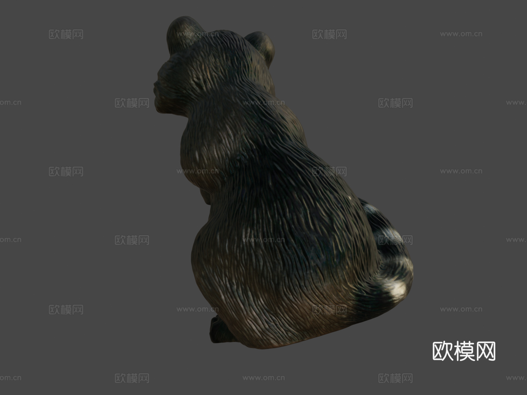 花园浣熊3d模型下载（渲染图6）