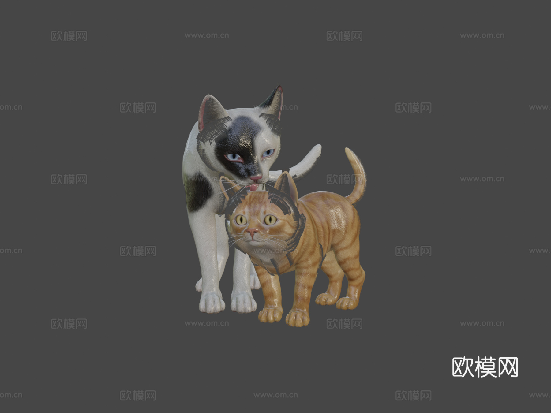 猫科家族3d模型下载（渲染图5）