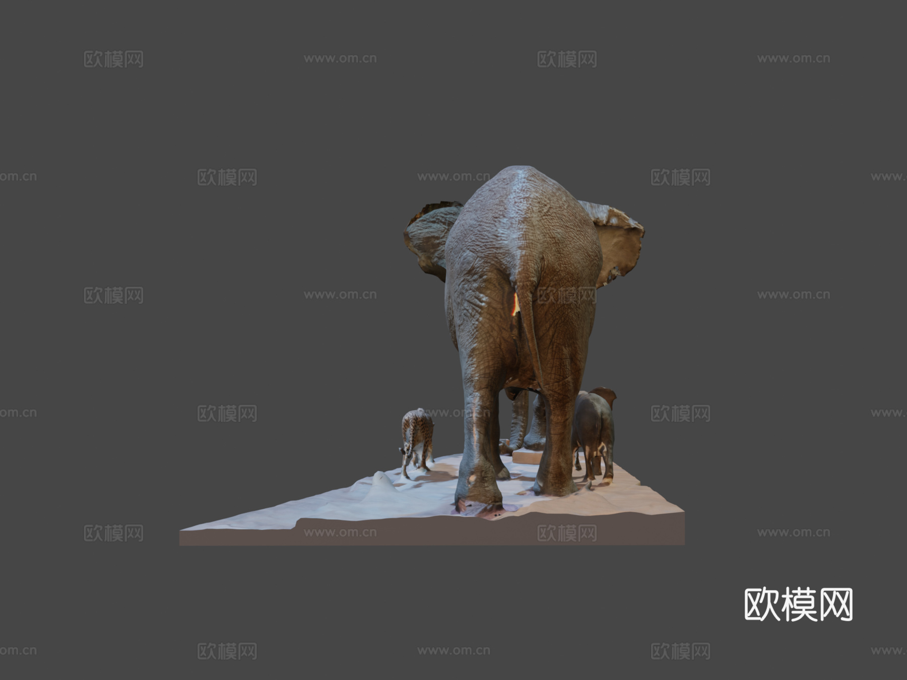 大象巴黎190813d模型下载（渲染图5）