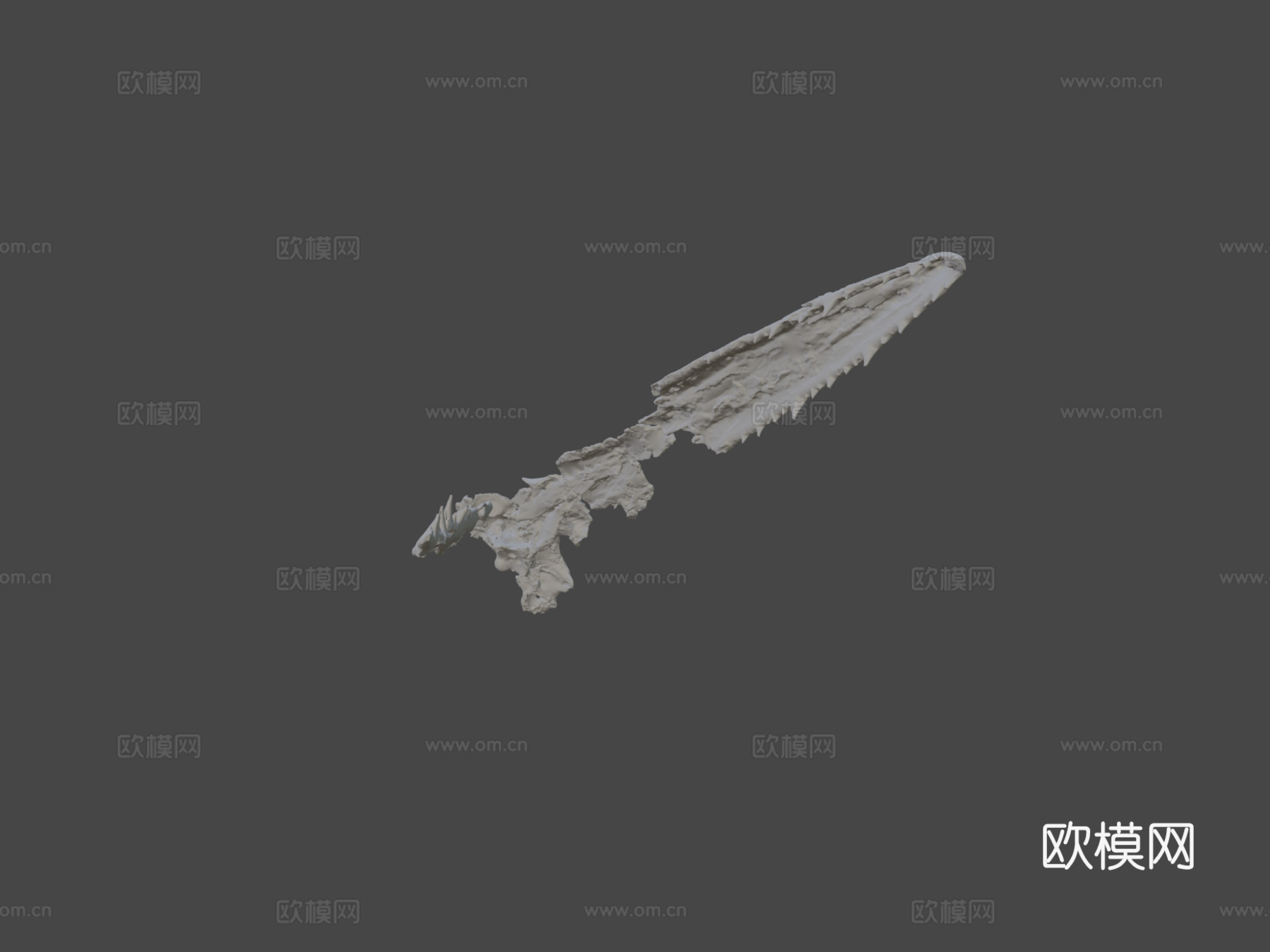 ChM PV4768桑氏伪齿鸟头骨3d模型下载（渲染图6）