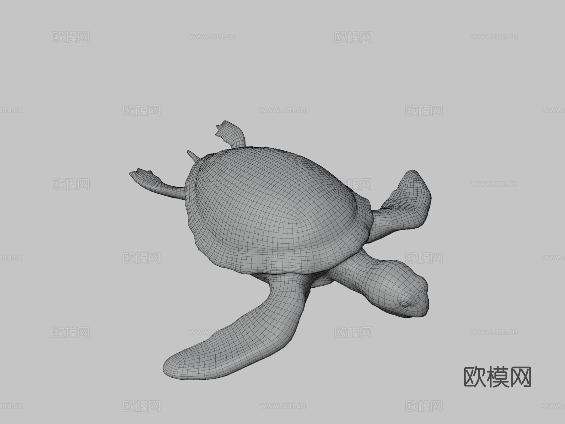 海龟3d模型下载（渲染图3）