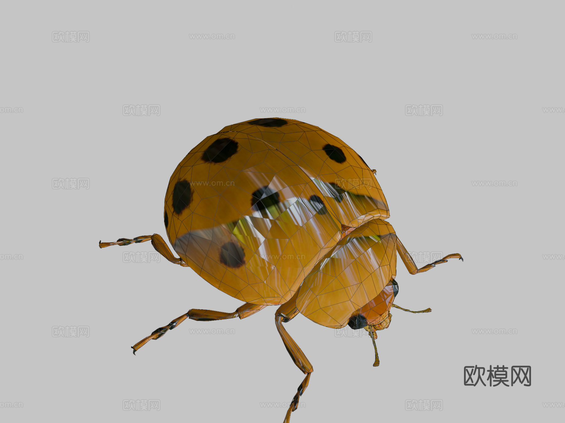 瓢虫低模3d模型下载（渲染图2）