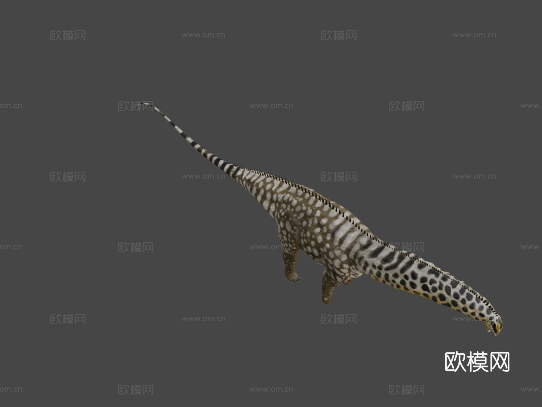 秀丽雷龙3d模型