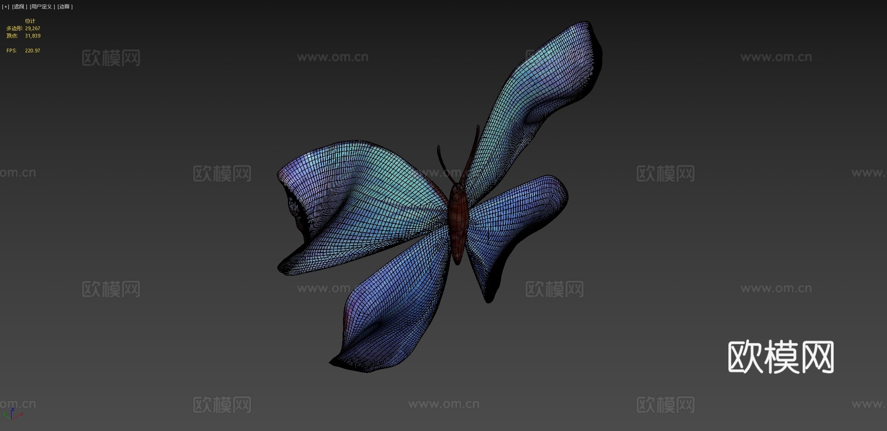 蝴蝶3d模型下载（渲染图4）