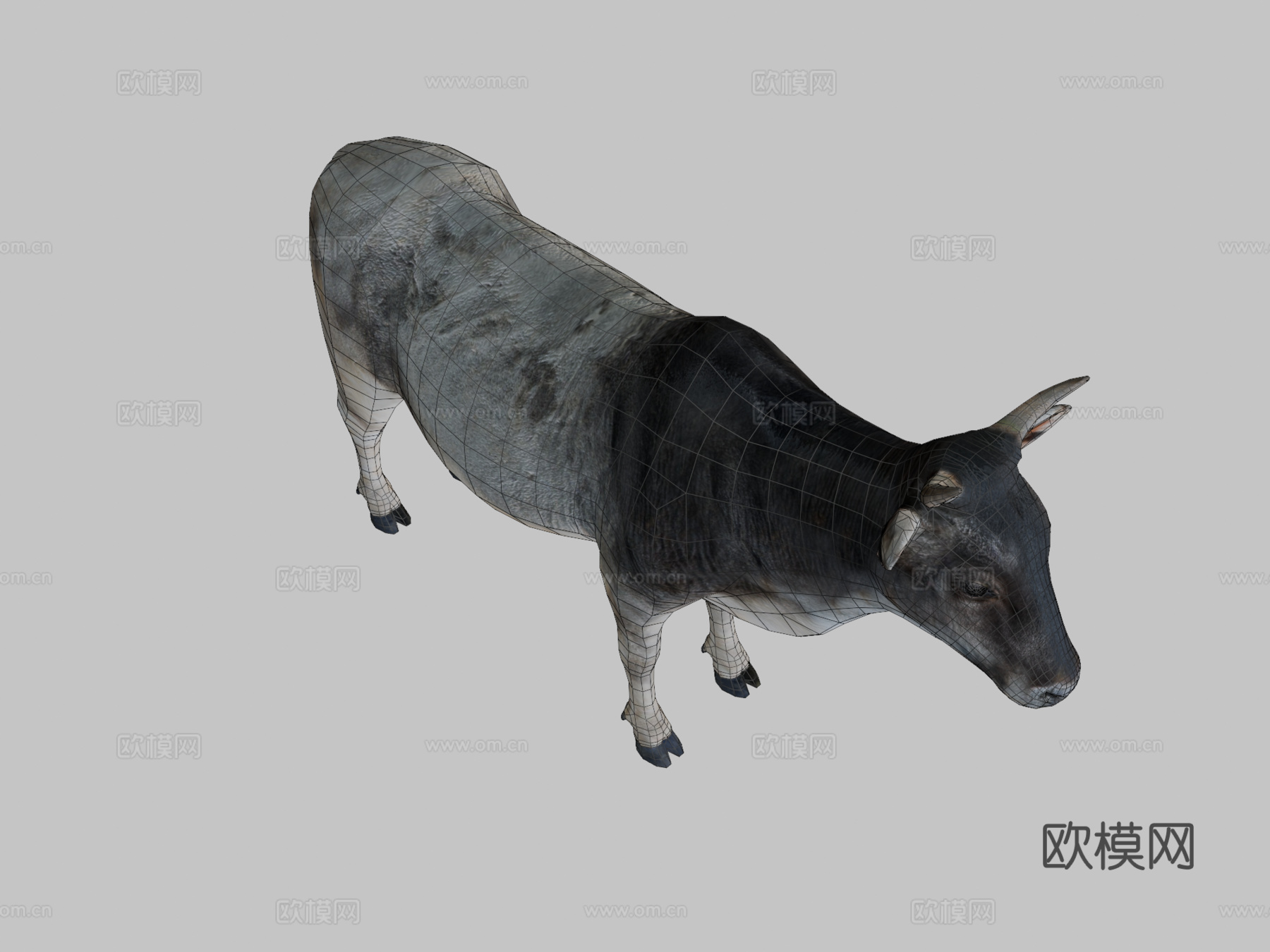 亚洲瘤牛低多边形3d模型下载（渲染图2）