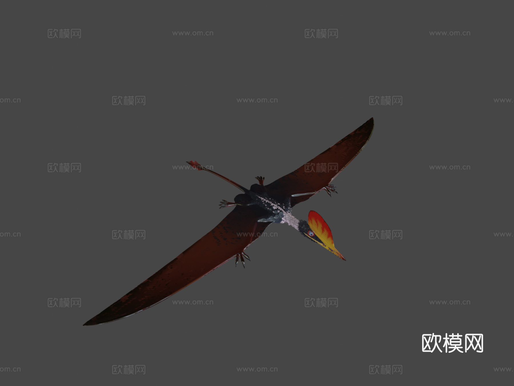 达尔文翼龙3d模型下载（渲染图6）
