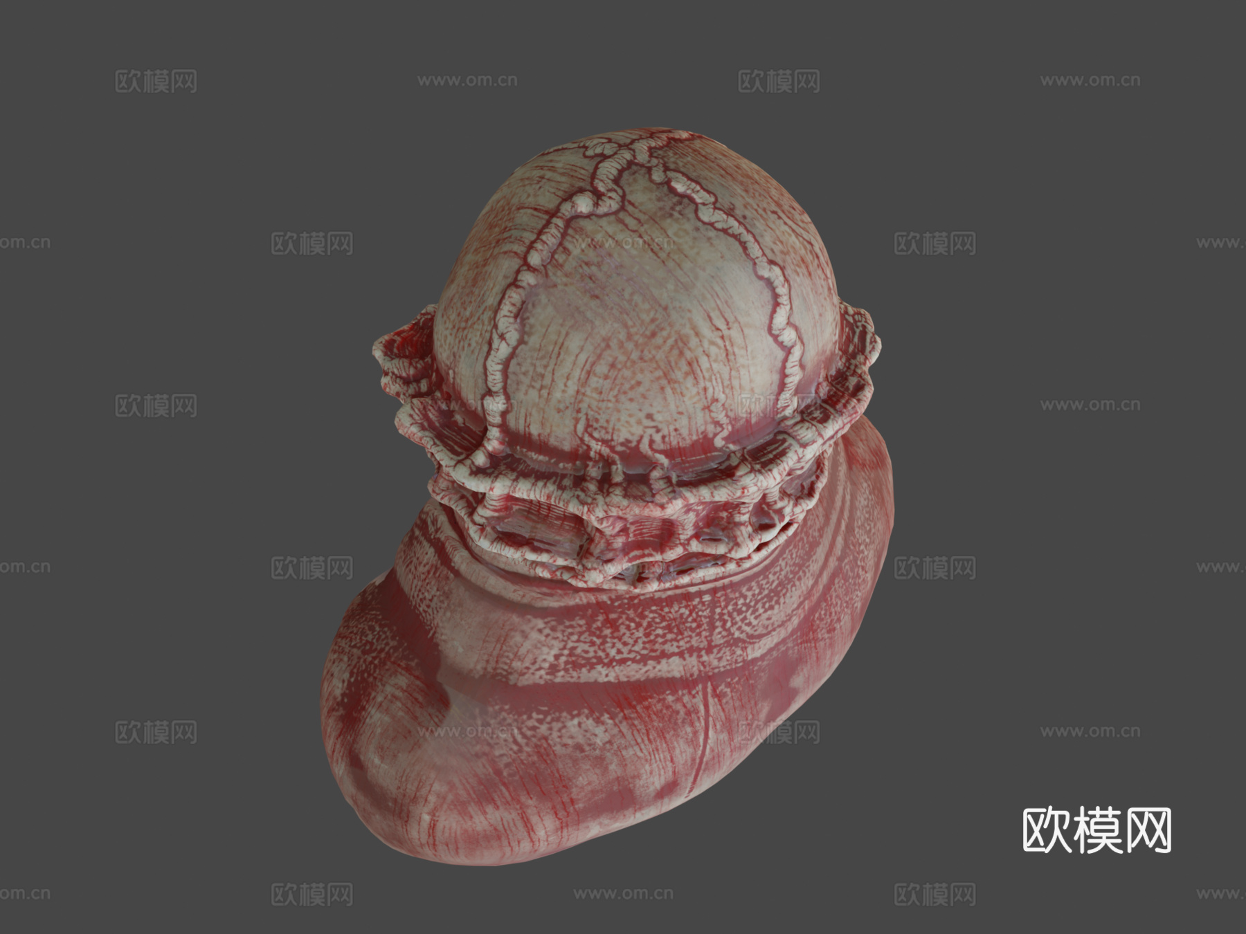 祭司adamnsexyname皮特3d模型