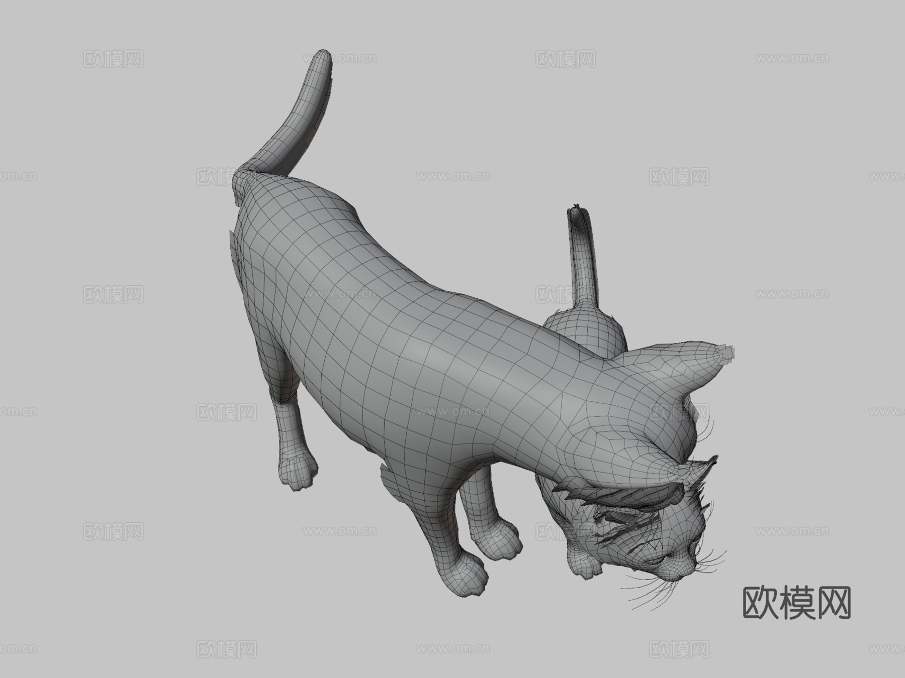 猫科家族3d模型下载（渲染图3）