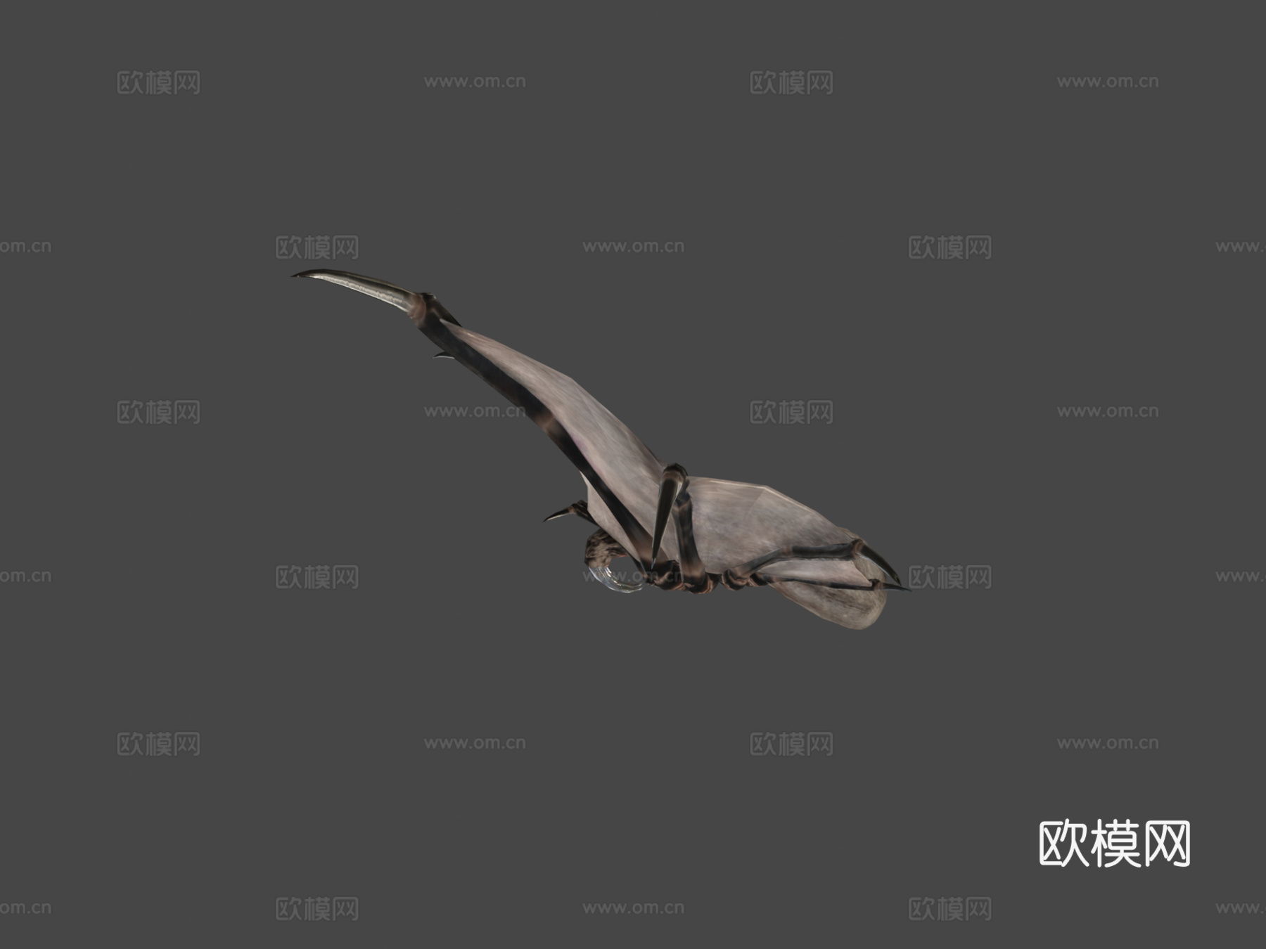 飞行狒狒3d模型下载（渲染图7）