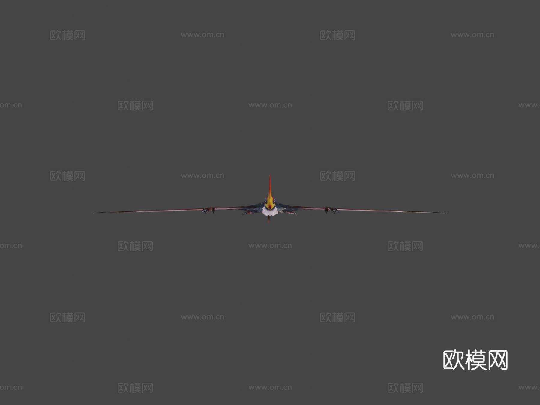 达尔文翼龙3d模型下载（渲染图8）