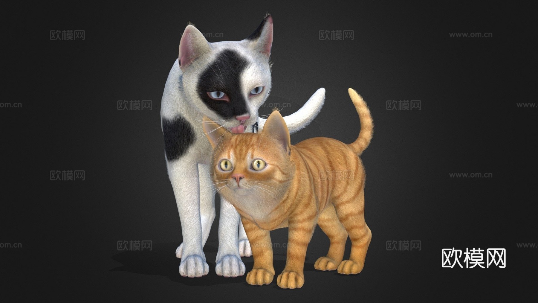 猫科家族3d模型下载（渲染图1）