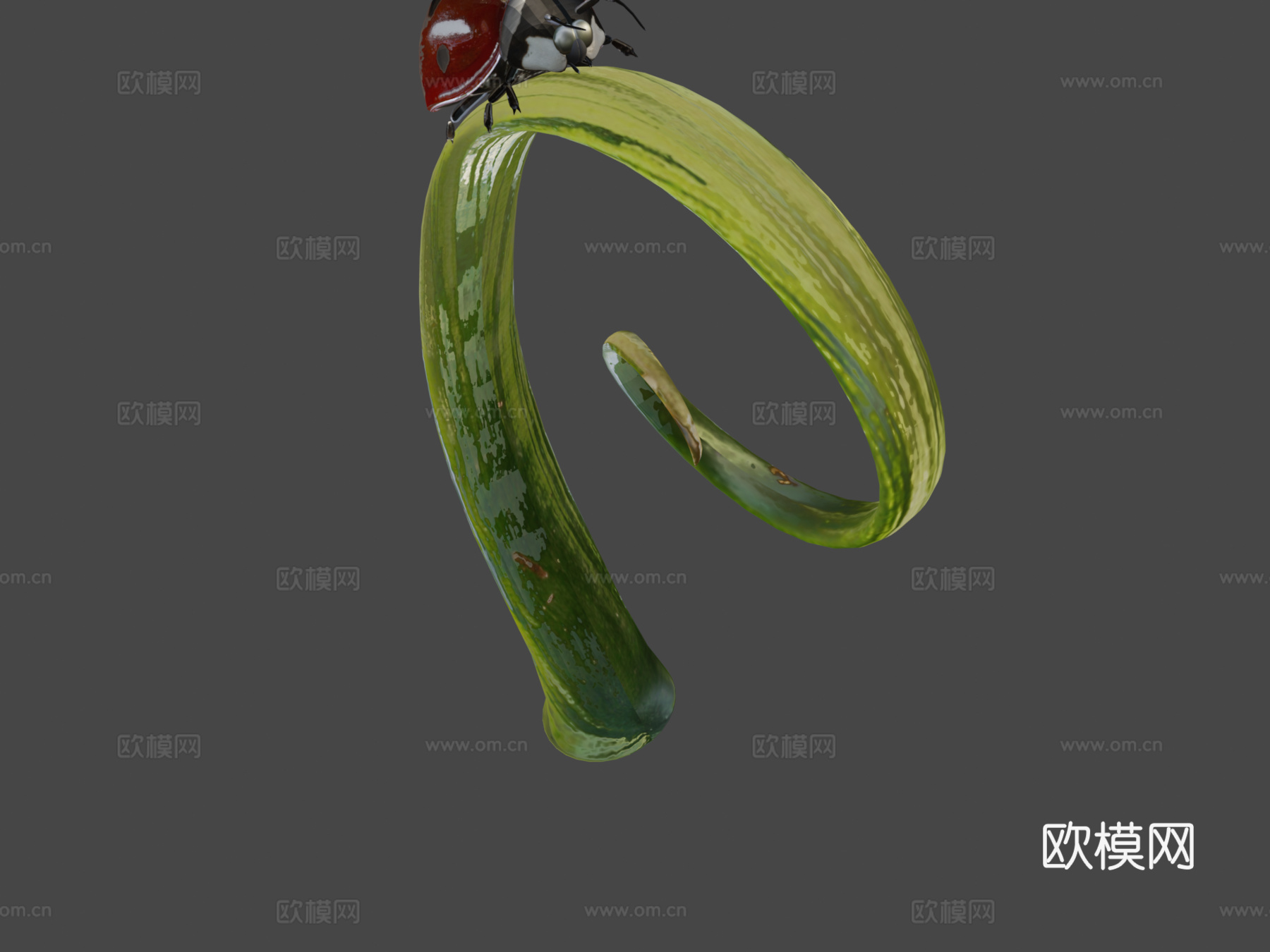 瓢虫3d模型