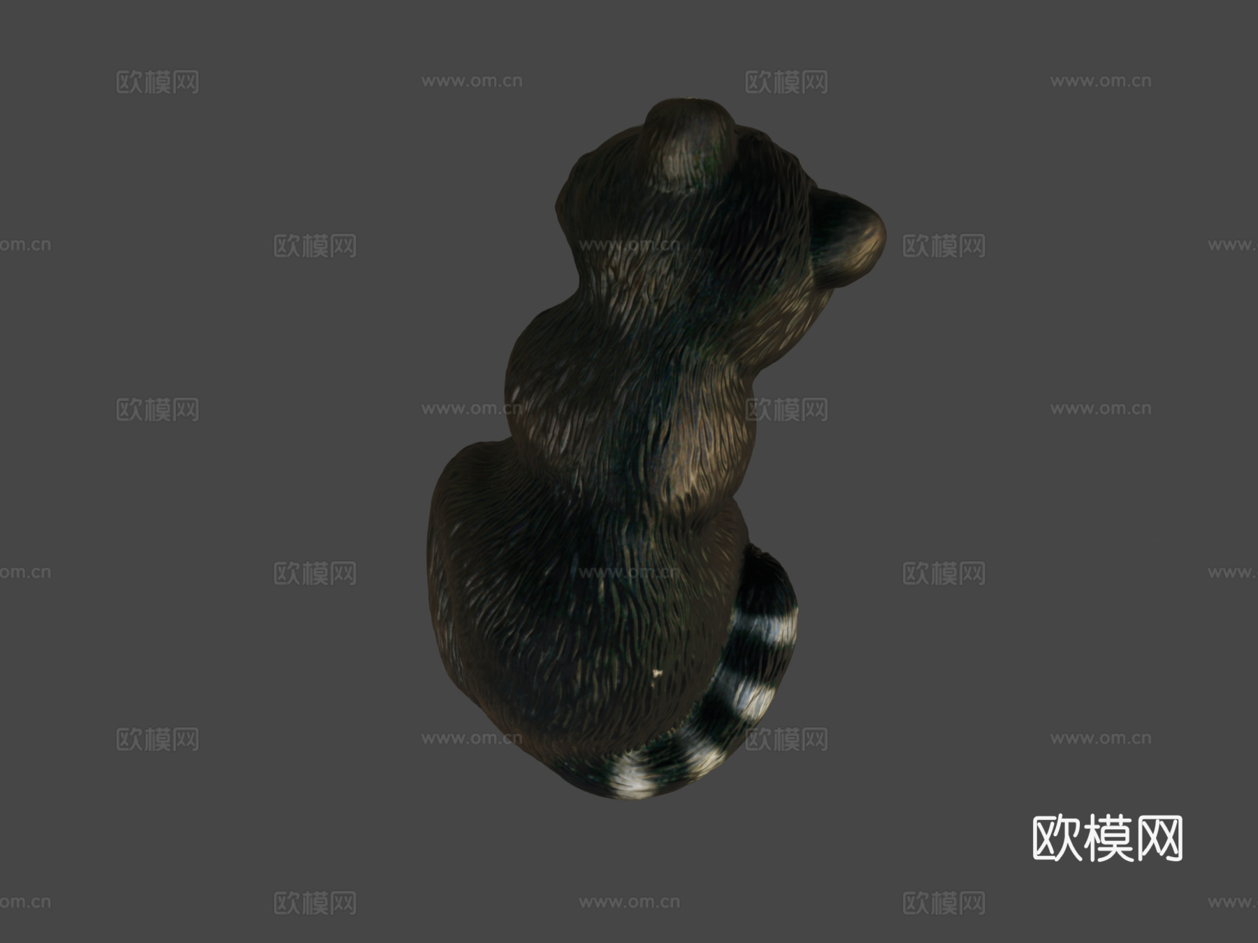 花园浣熊3d模型下载（渲染图8）