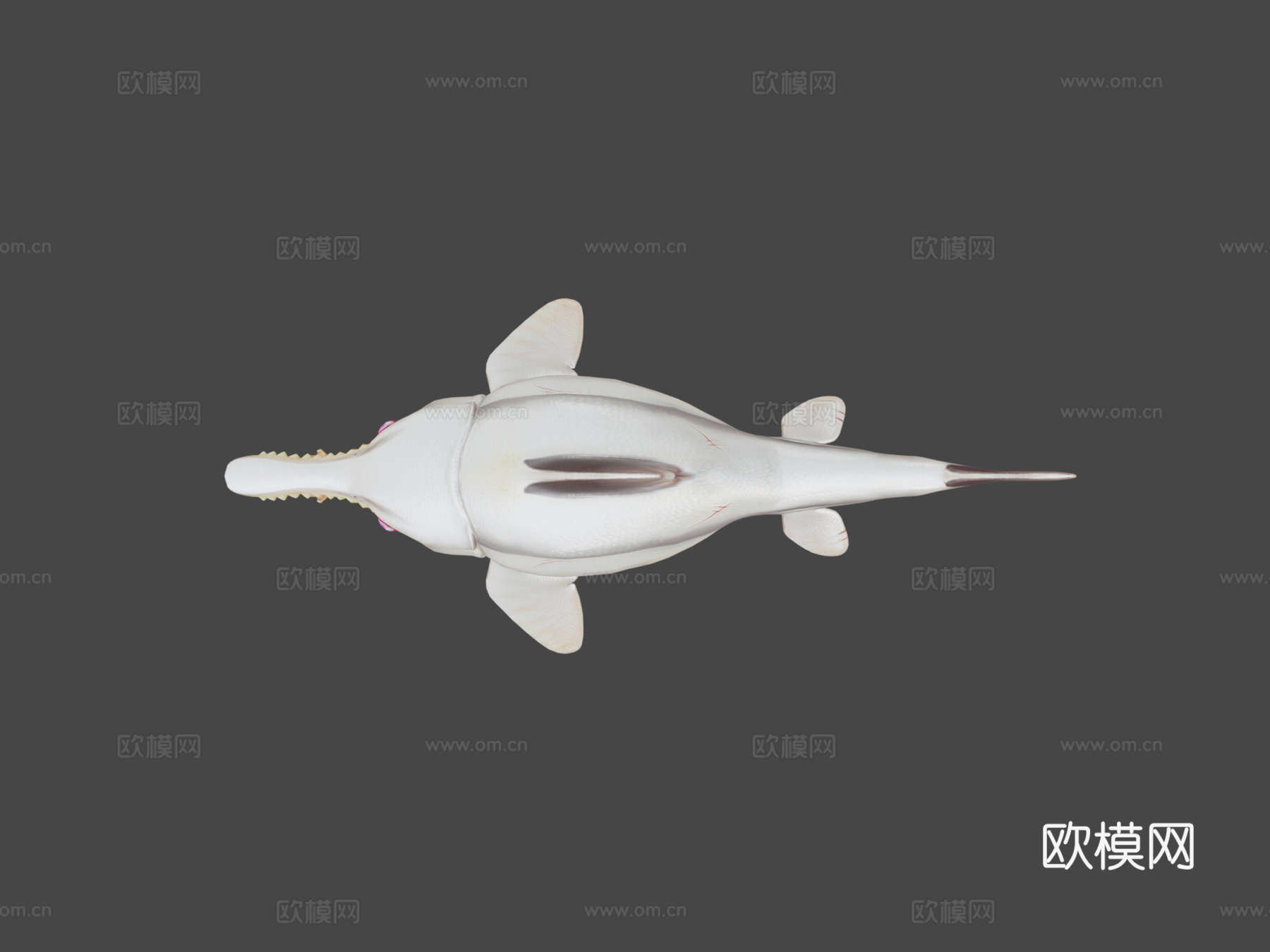 海豚鱼龙回声3d模型3d模型下载（渲染图7）