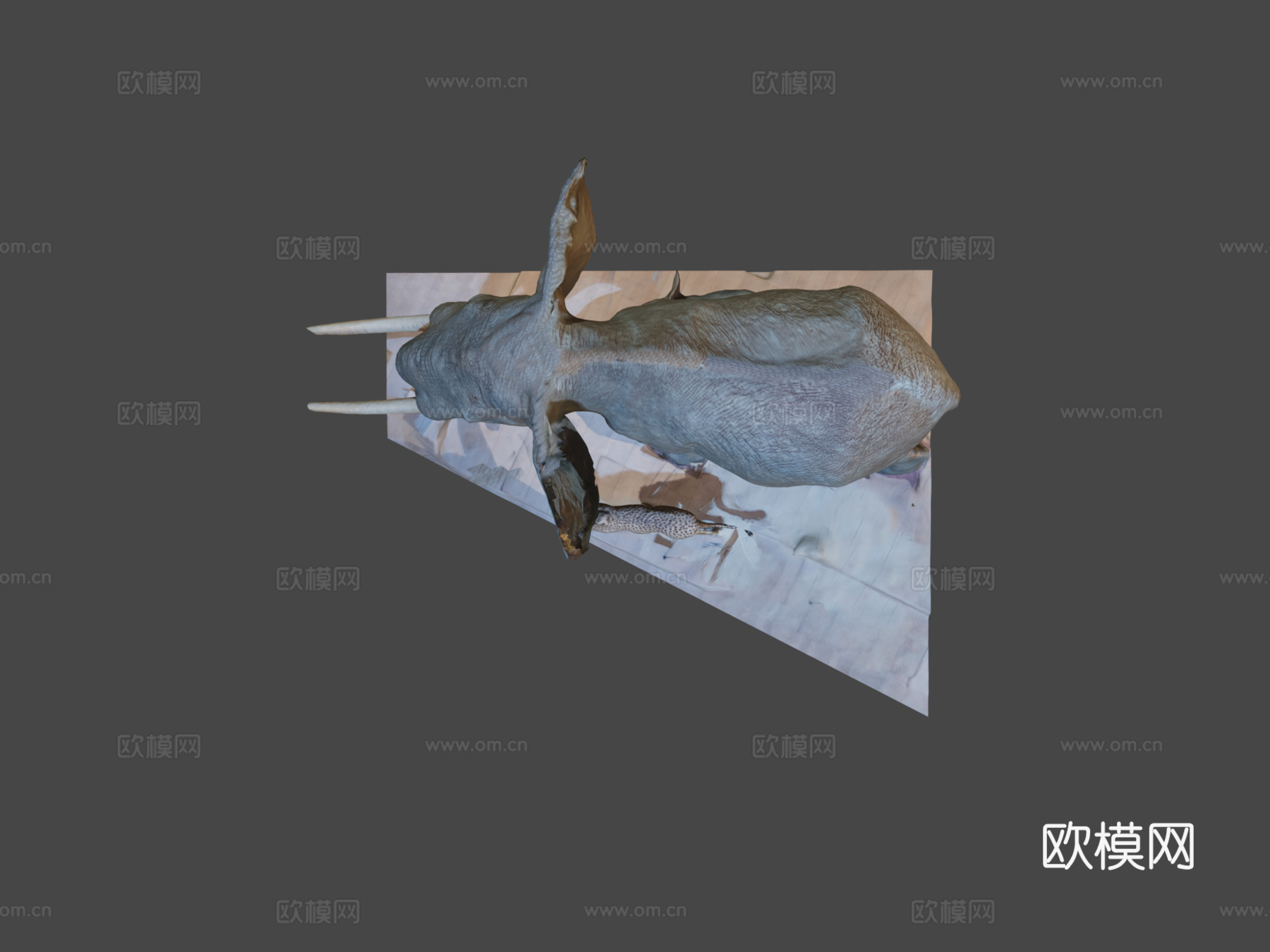 大象巴黎190813d模型下载（渲染图7）