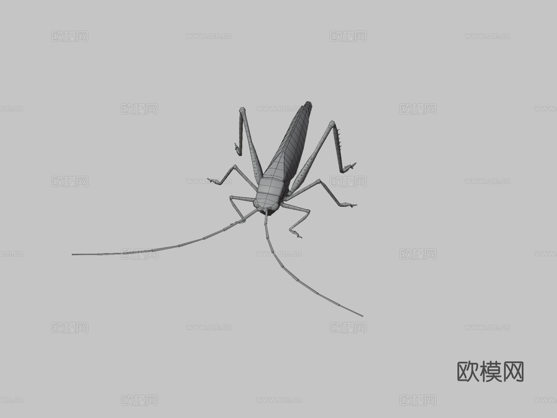 蚱蜢动物低模3d模型下载（渲染图3）