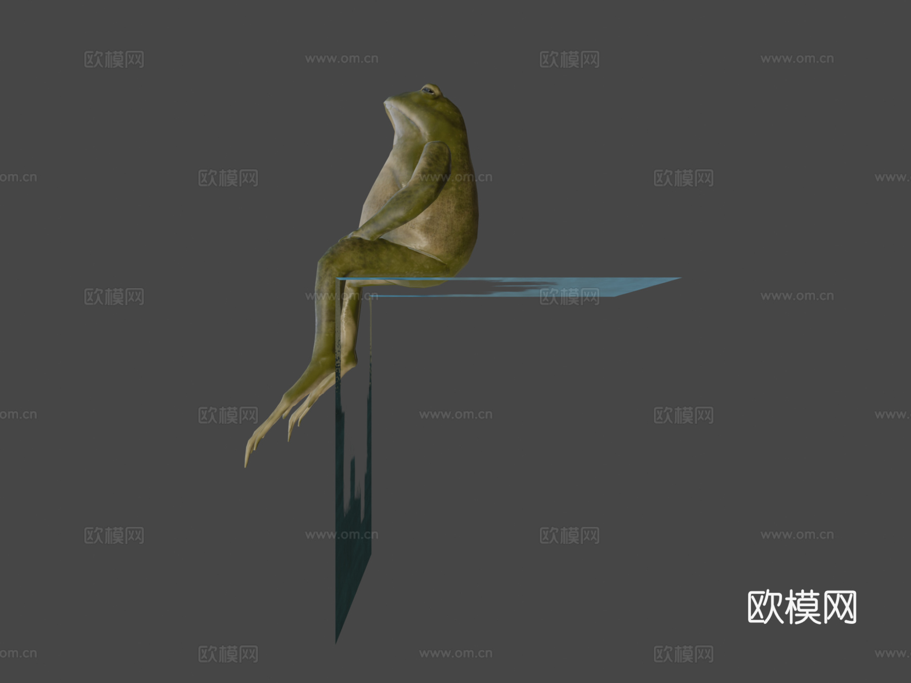 青蛙低多边形3d模型下载（渲染图6）