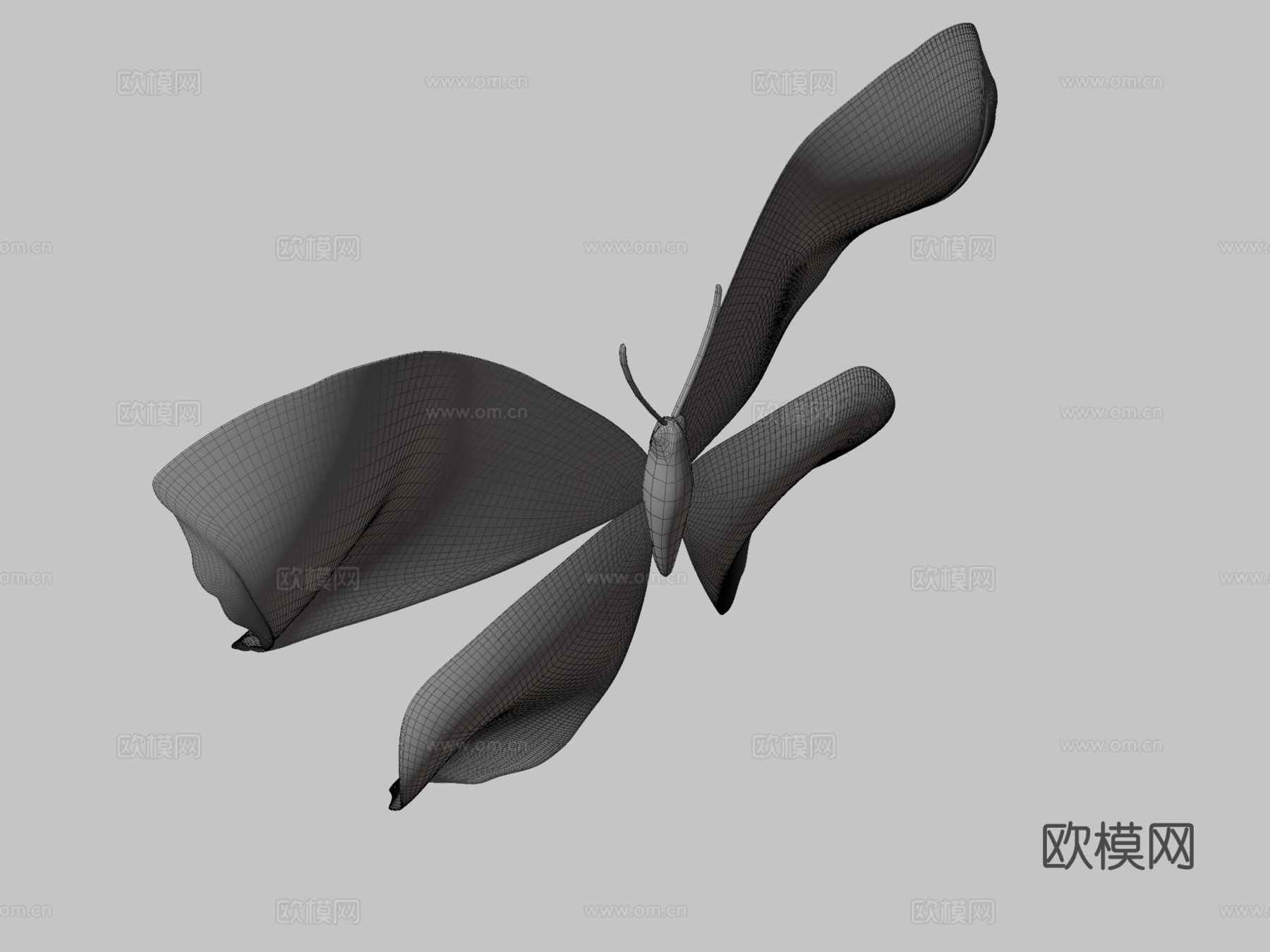 蝴蝶3d模型下载（渲染图3）
