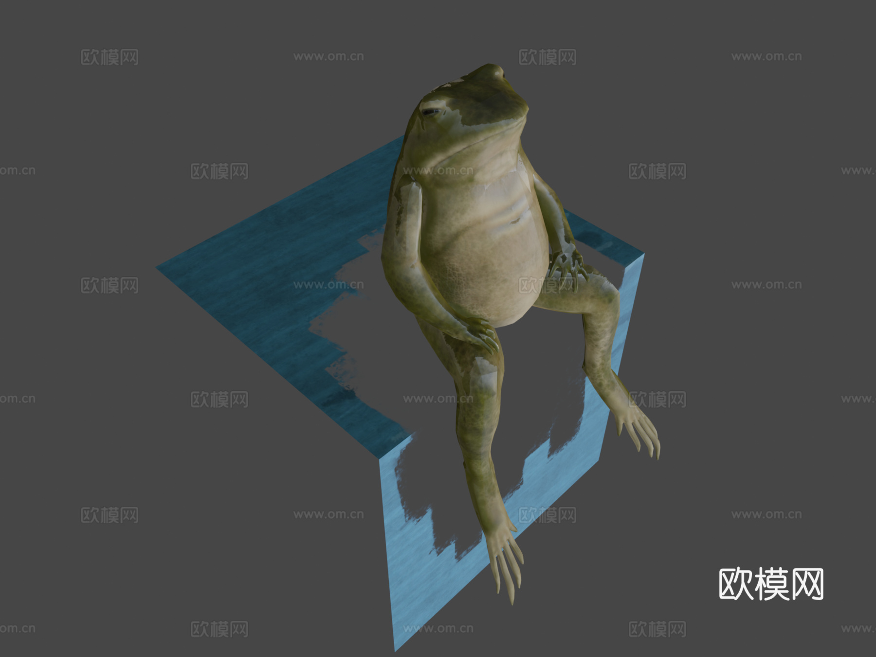 青蛙低多边形3d模型下载（渲染图7）