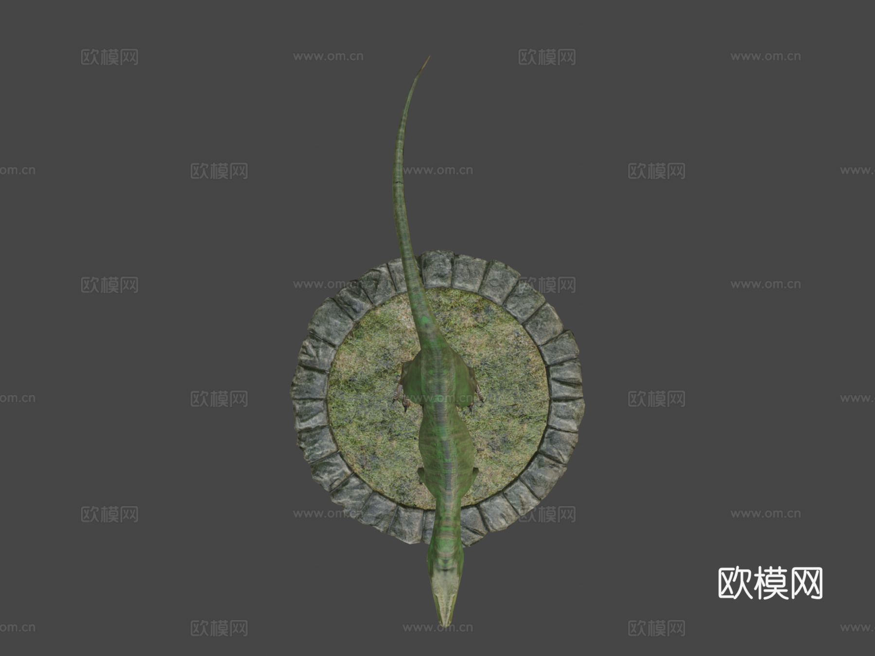 南方巨兽龙3d模型下载（渲染图8）