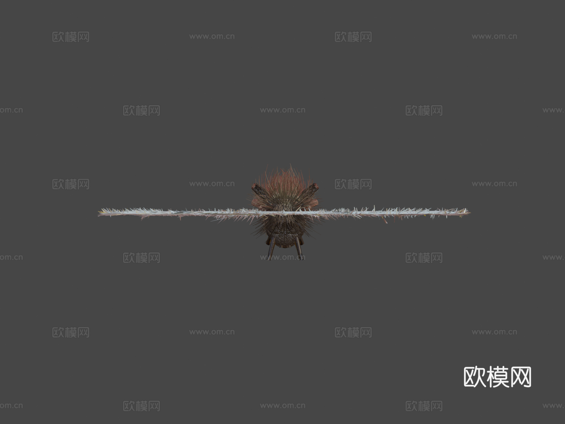 蝴蝶绑定动画PBR N2903d模型下载（渲染图7）