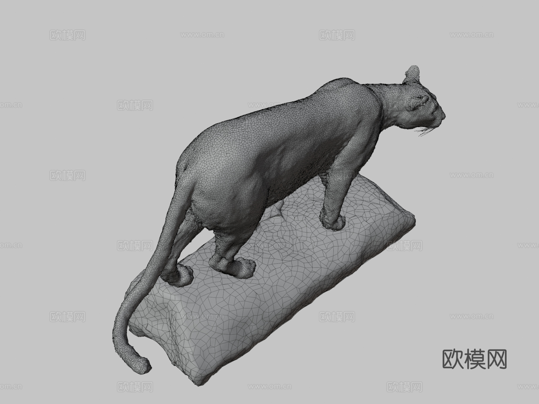 NSMTM32354美洲狮标本3d模型