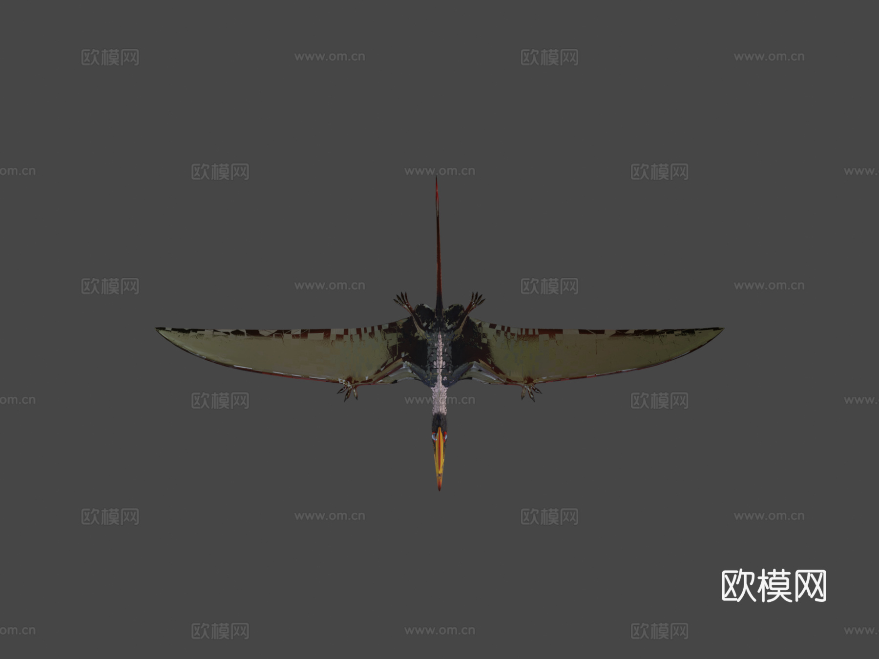 达尔文翼龙3d模型下载（渲染图5）