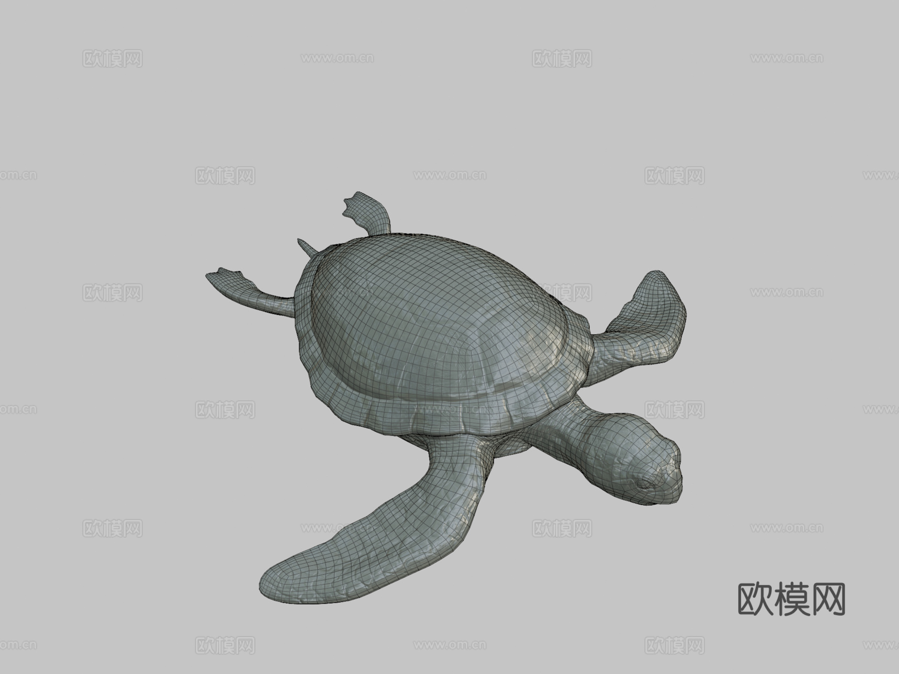 海龟3d模型下载（渲染图2）