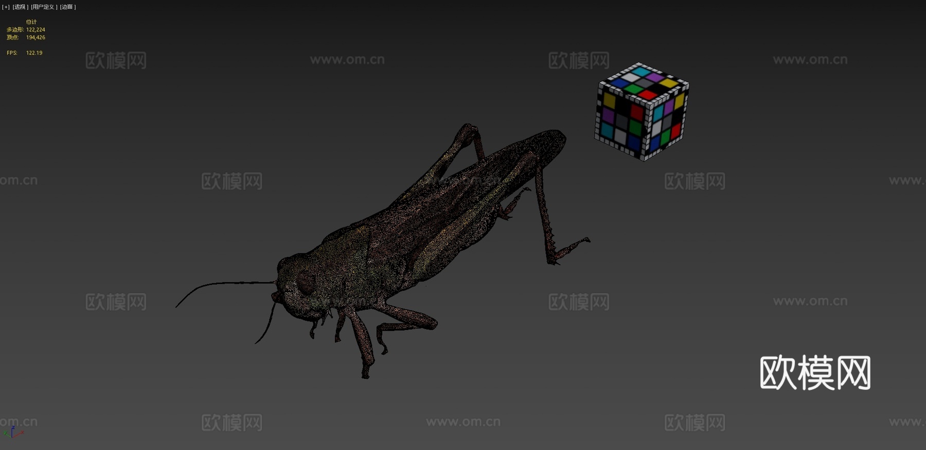 CC0东亚飞蝗迁徙蝗虫3d模型下载（渲染图4）