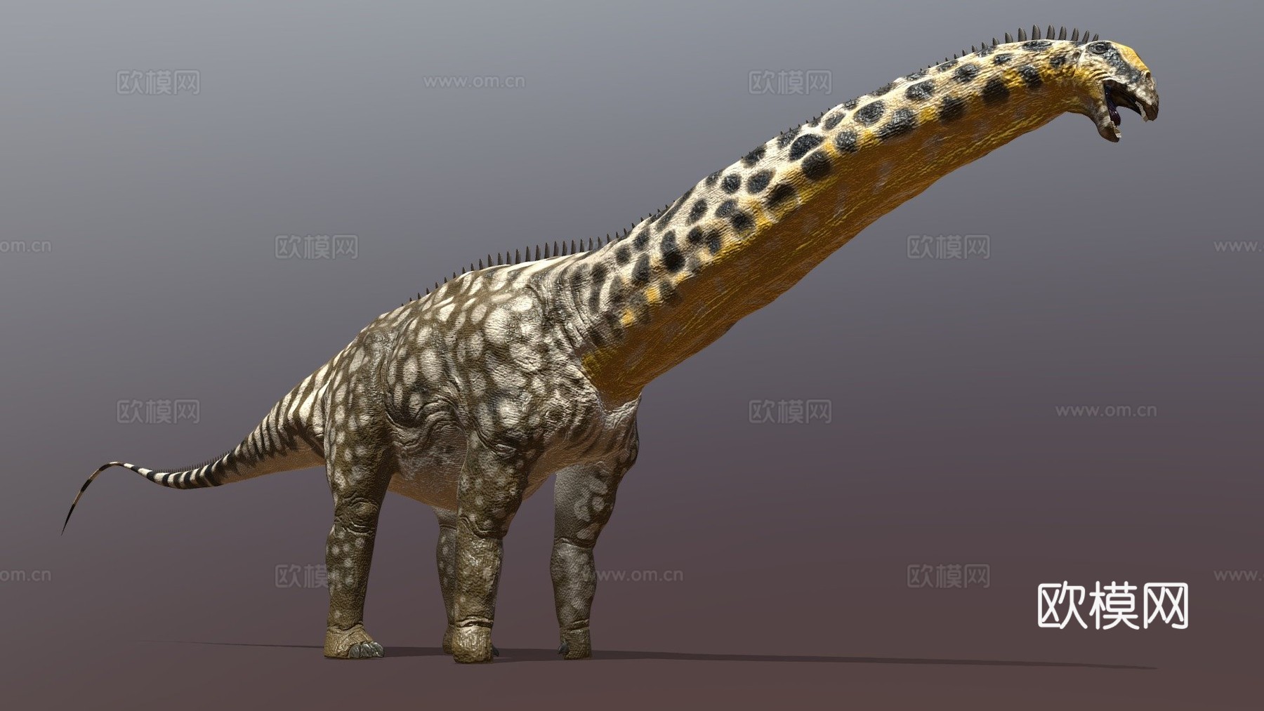 秀丽雷龙3d模型