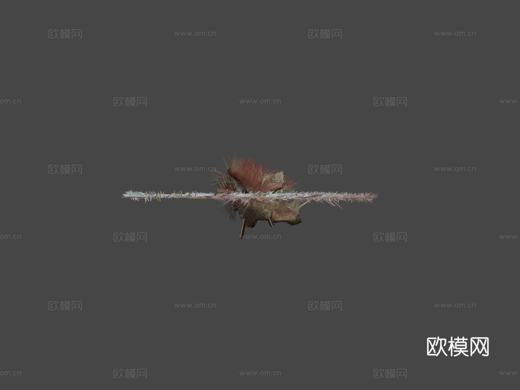 蝴蝶绑定动画PBR N2903d模型下载（渲染图6）