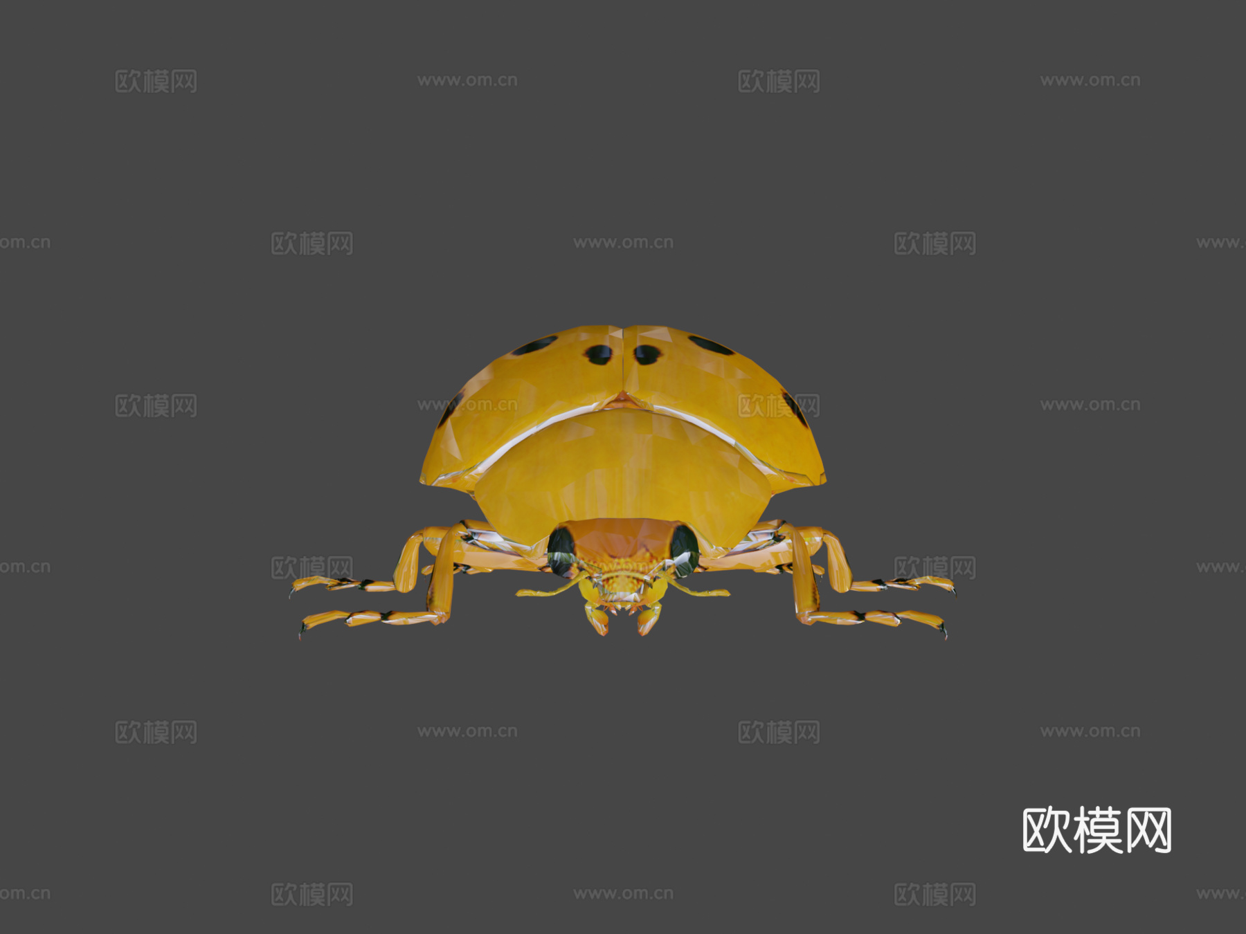 瓢虫低模3d模型下载（渲染图7）