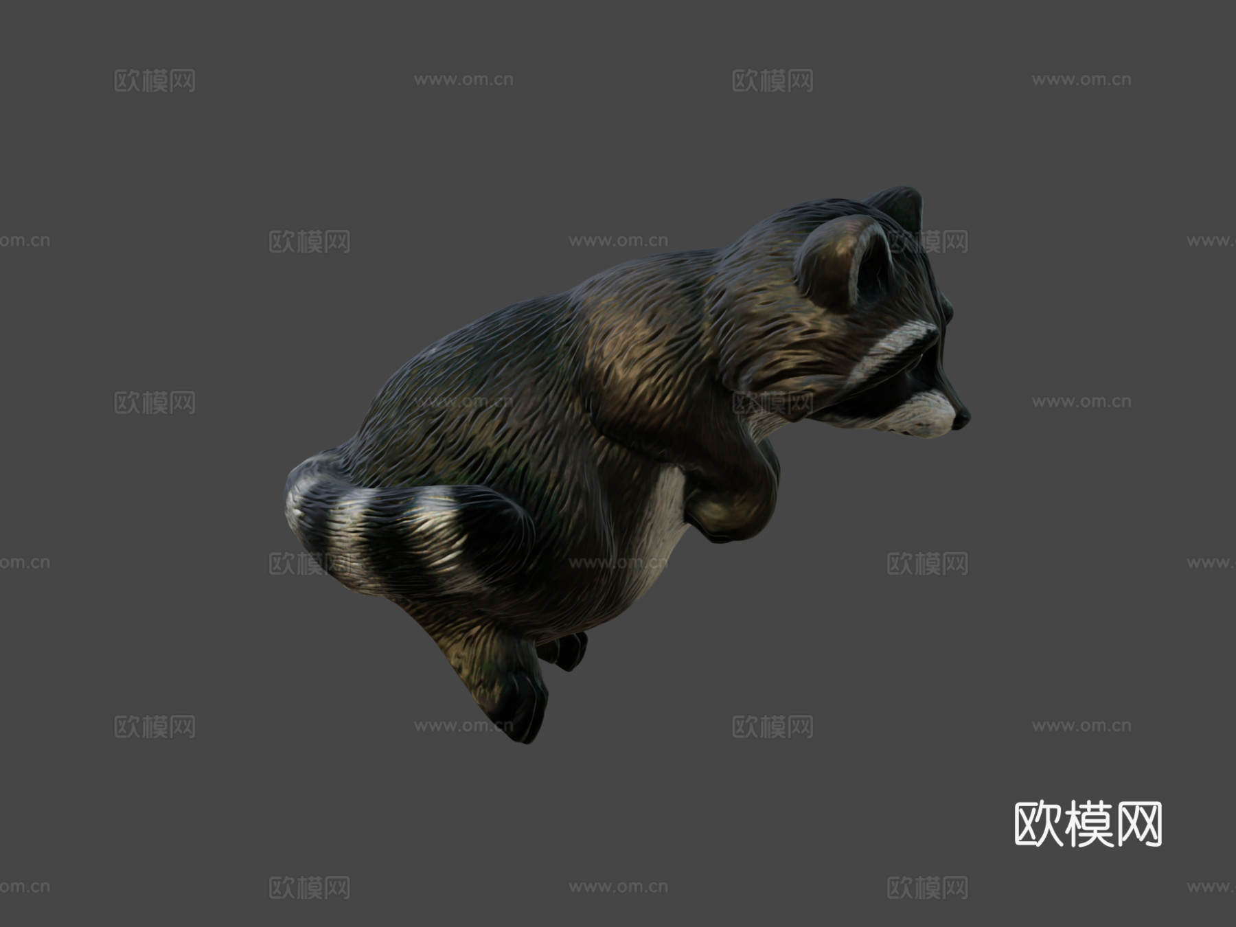 花园浣熊3d模型下载（渲染图7）