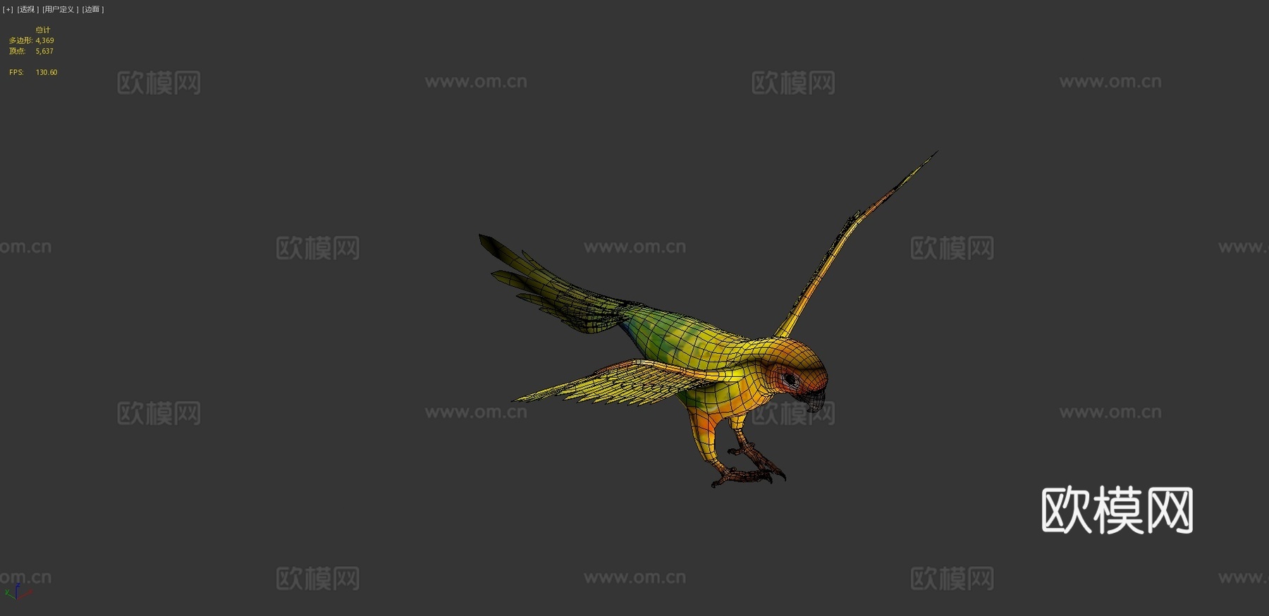 太阳锥尾鹦鹉低多边形3d模型下载（渲染图4）