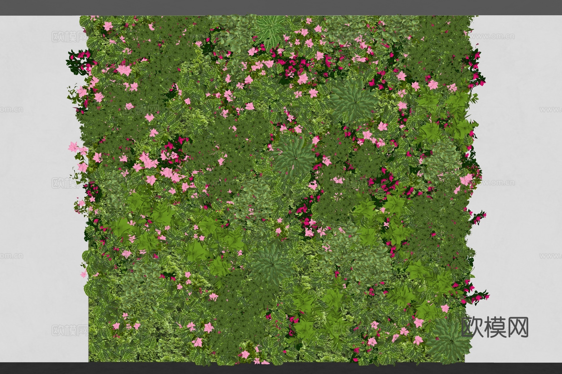 植物墙 植物背景墙 植物装饰墙 绿植墙 垂挂植物 绿植 室内su模型