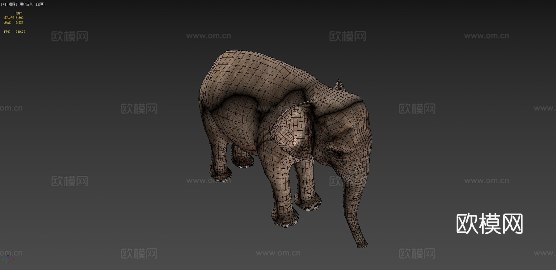 亚洲象成年濒危3d模型