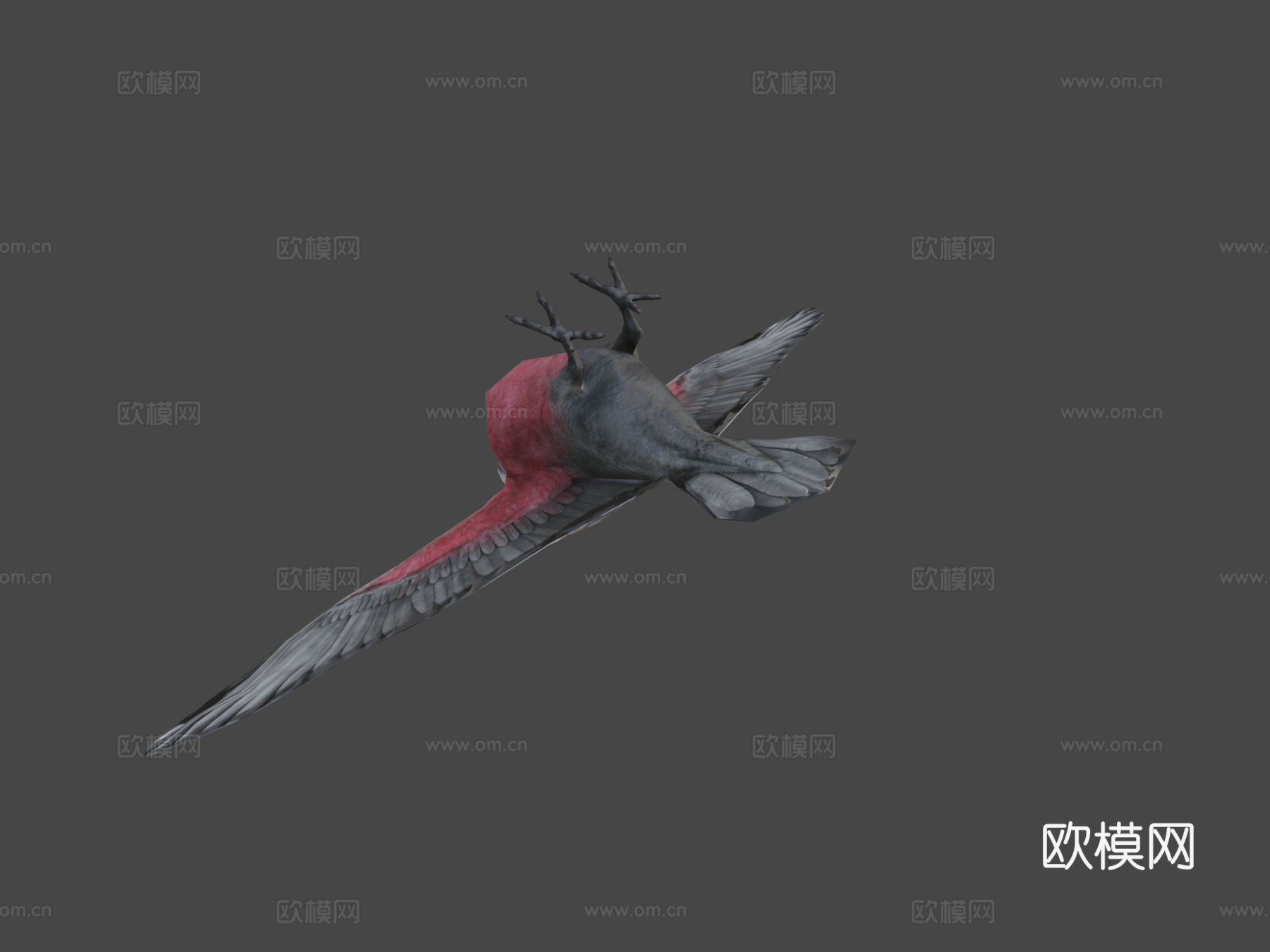 澳大利亚粉红鹦鹉低多边形移动版3d模型下载（渲染图6）