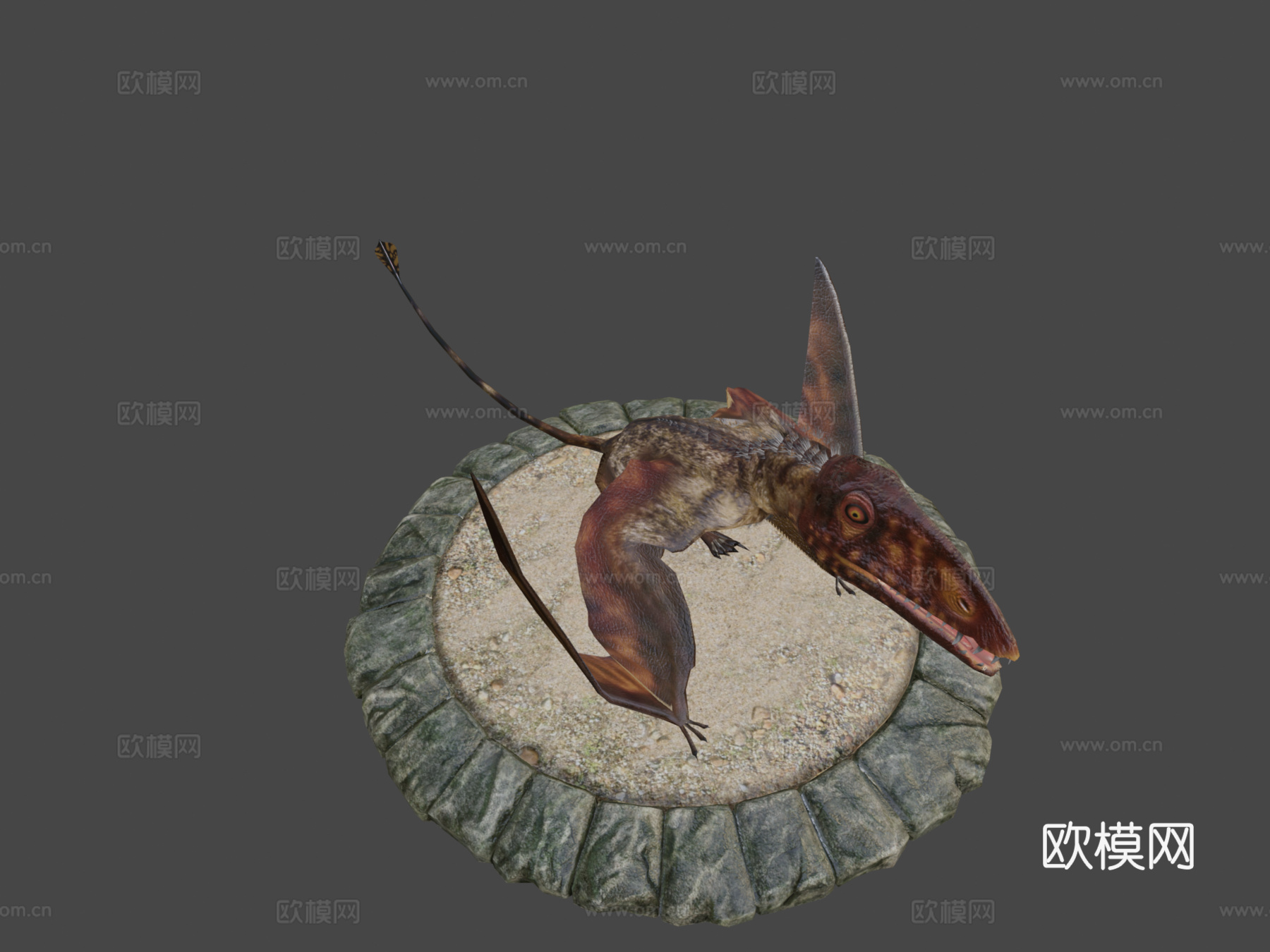 双型齿翼龙3d模型