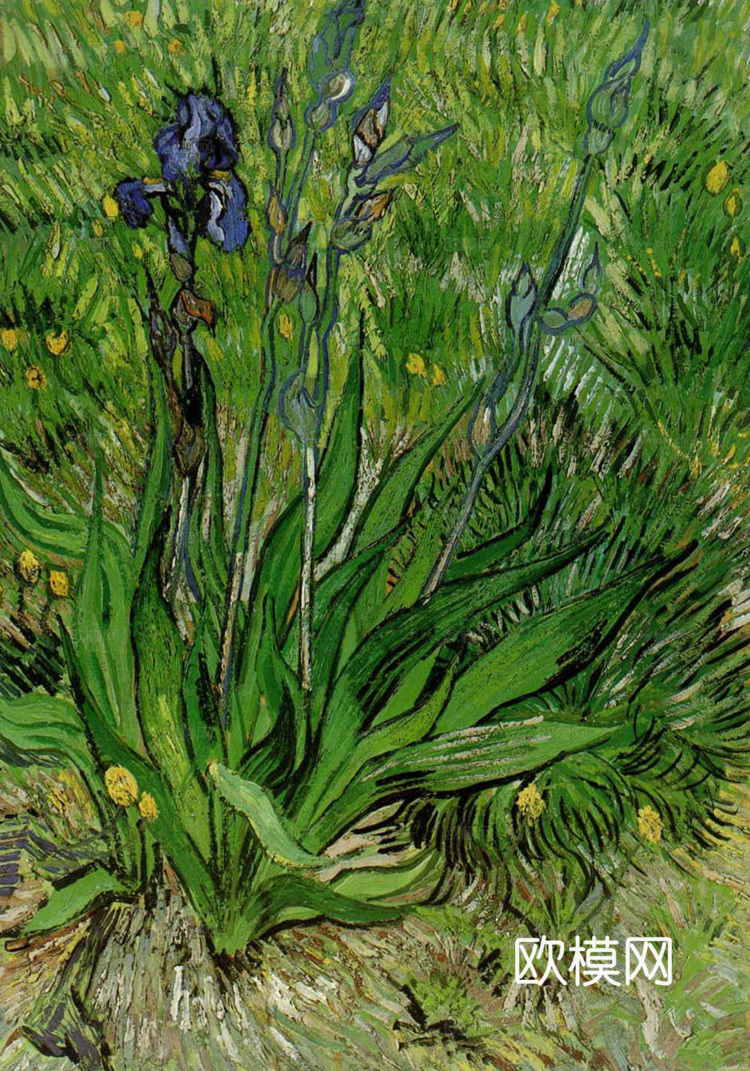 梵高后印象派静物绘画作品，现代世界经典名画294 梵高 Ir