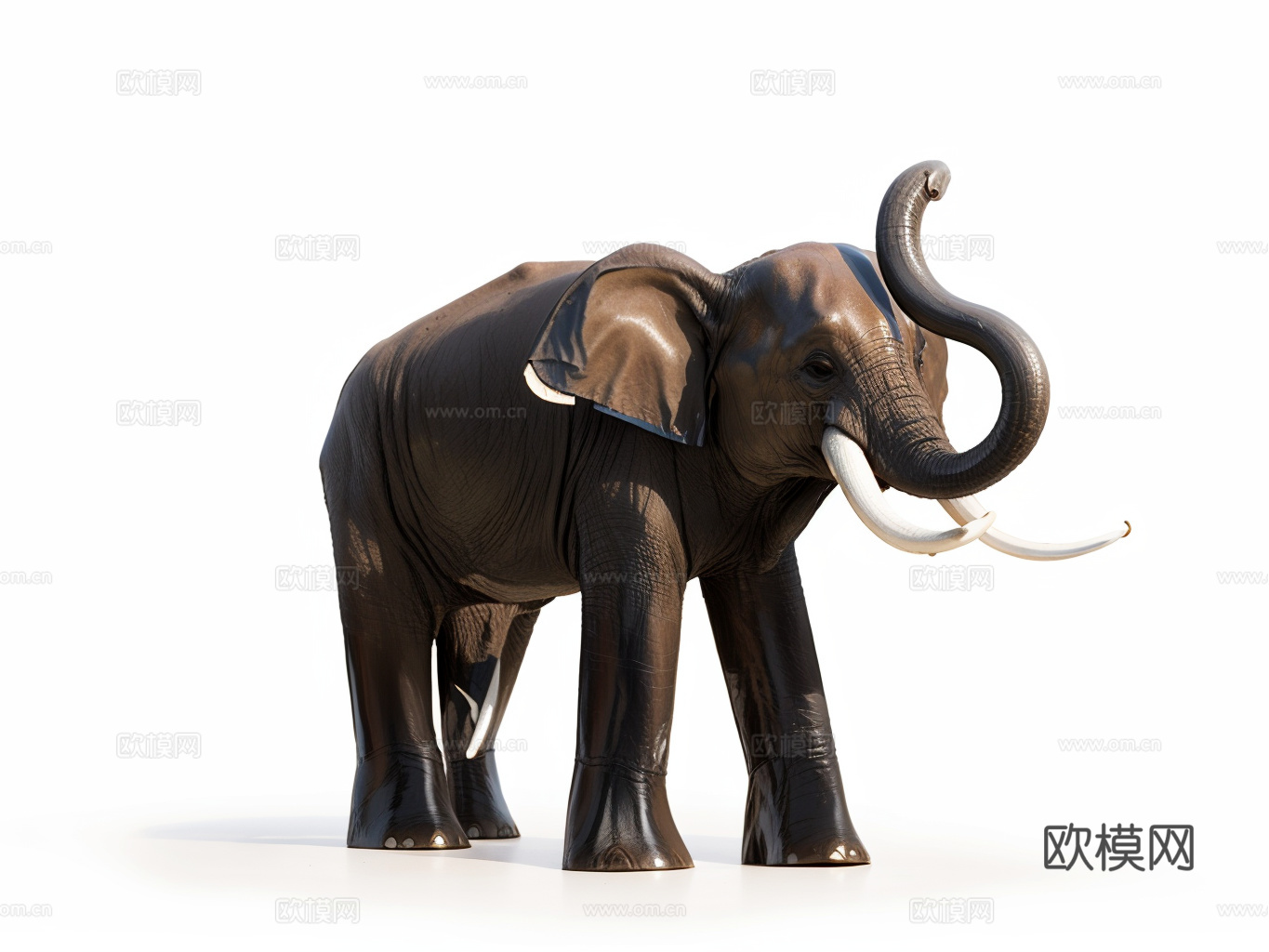 大象su模型