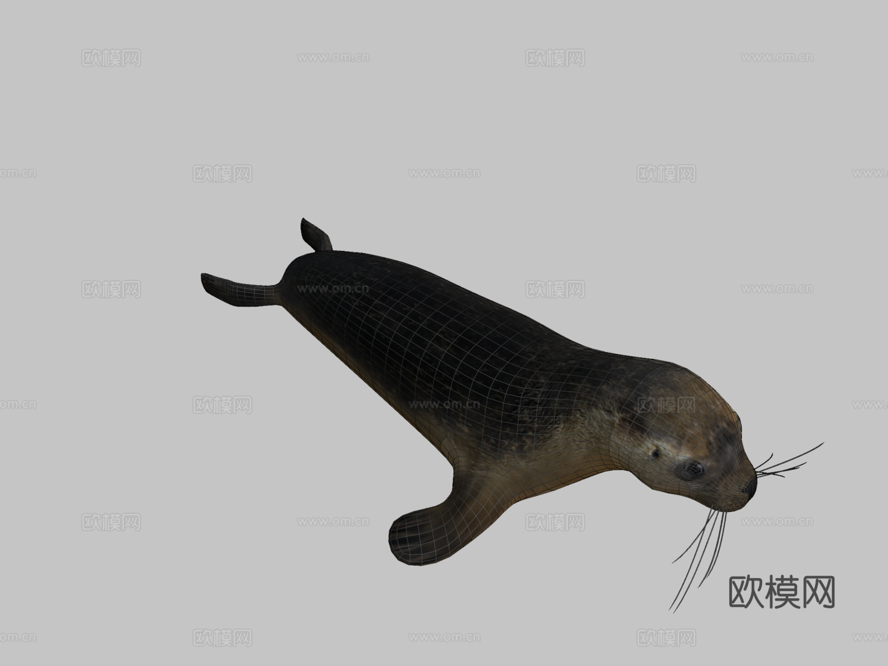 海豹3d模型下载（渲染图2）