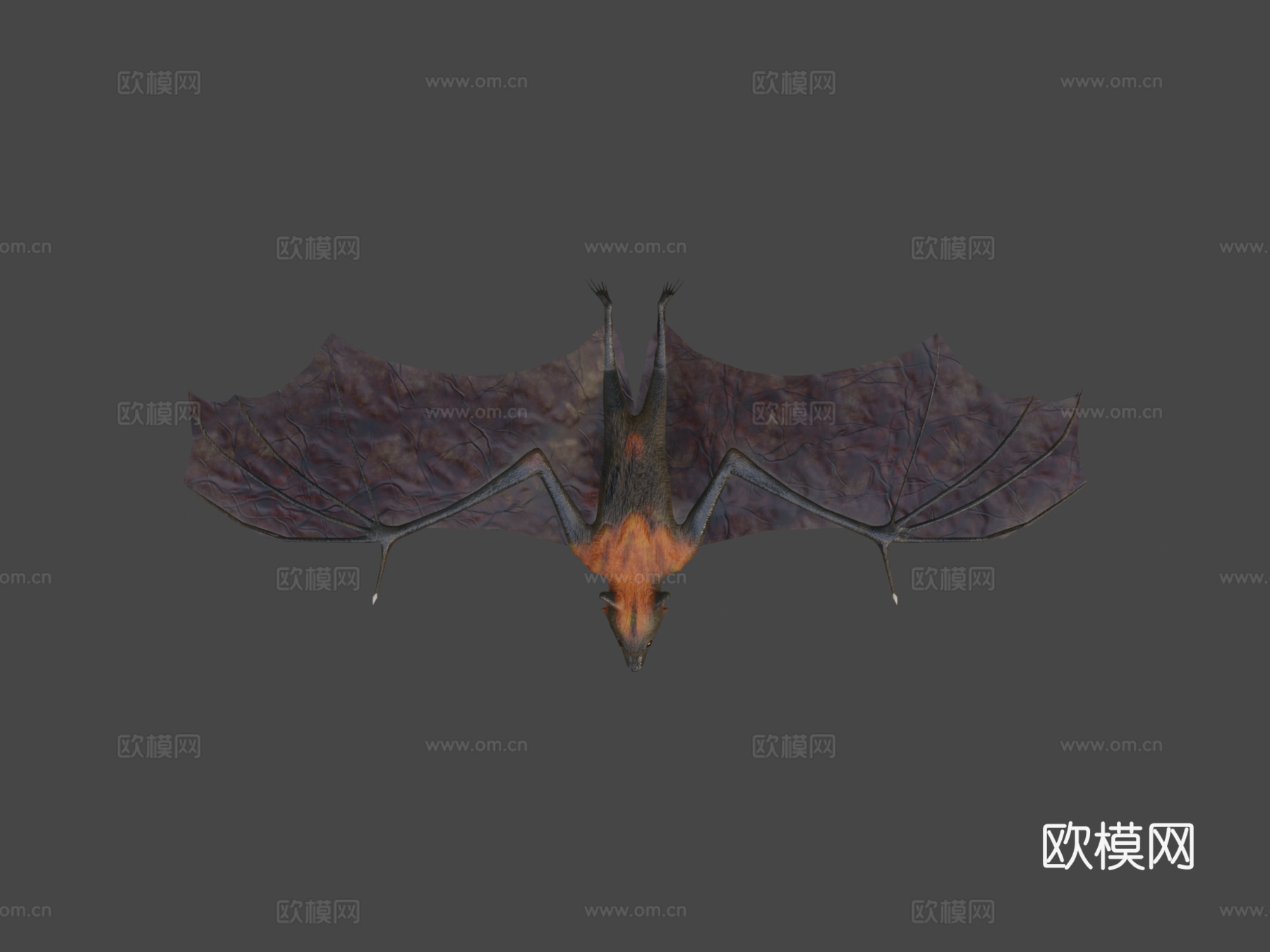 雷霆飞狐3d模型下载（渲染图6）