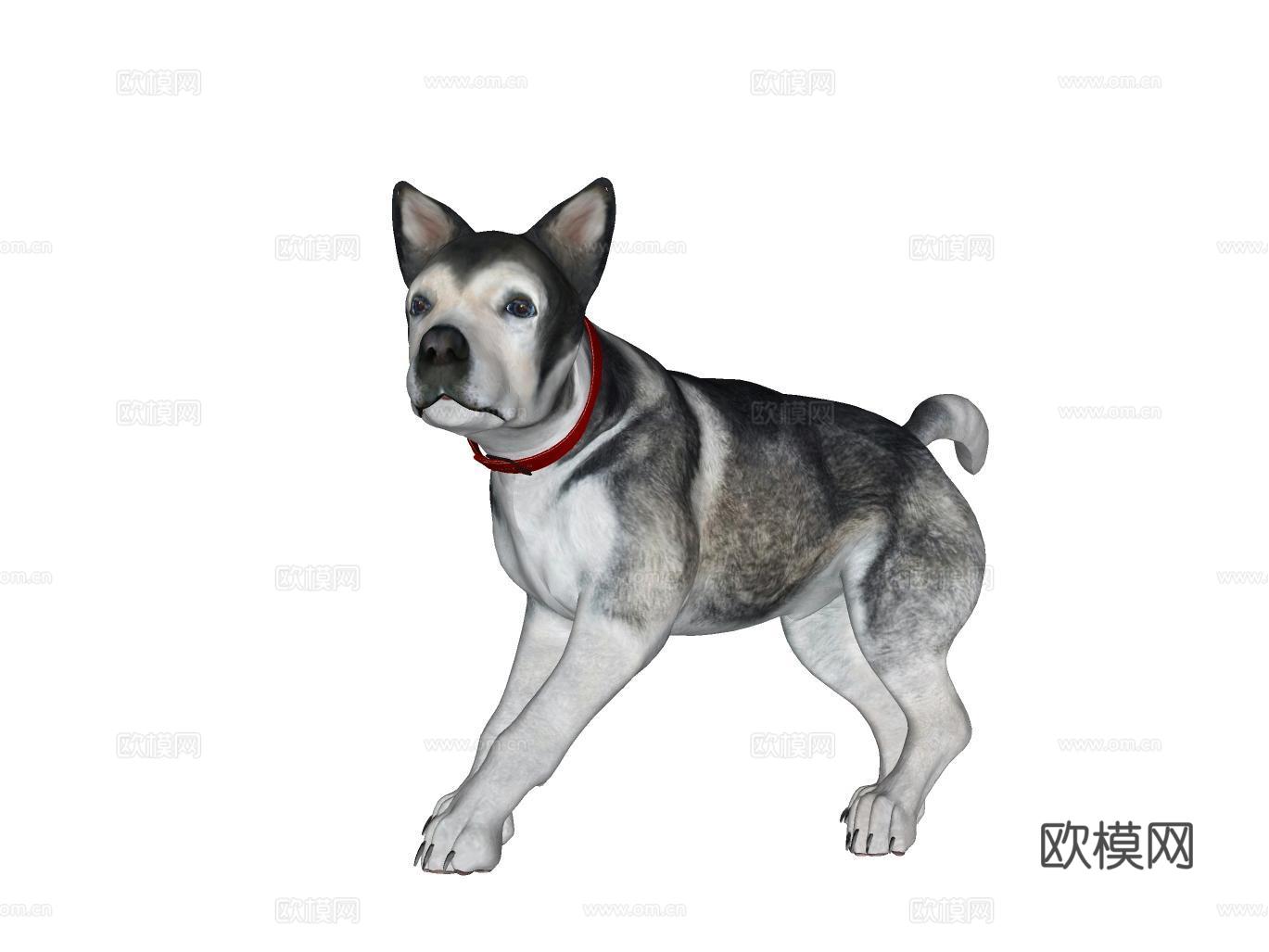 狗su模型