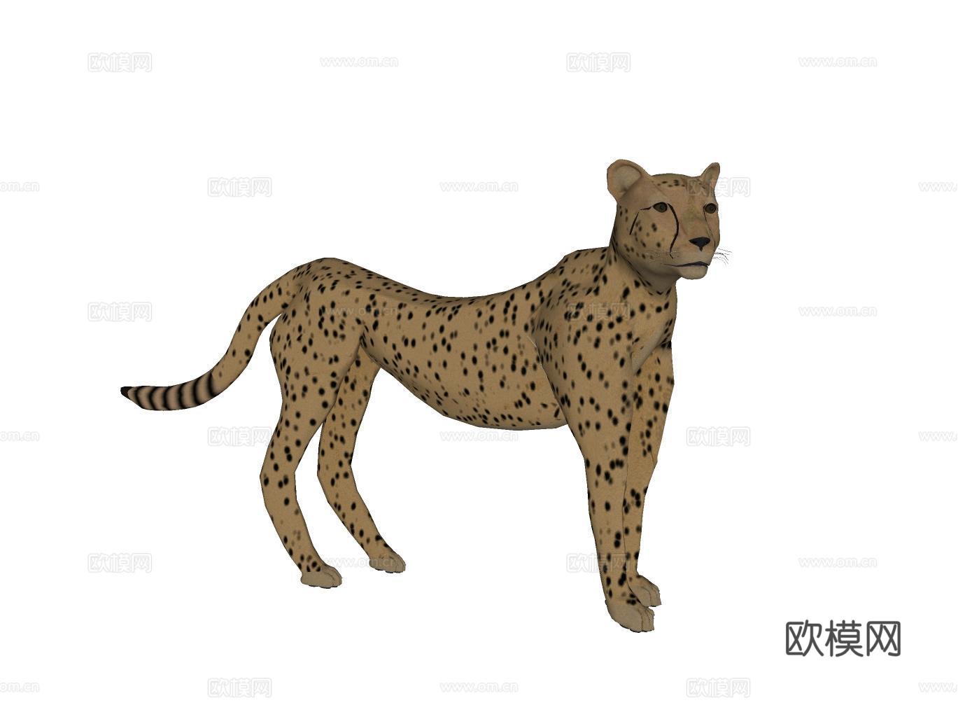 花豹su模型下载（渲染图2）