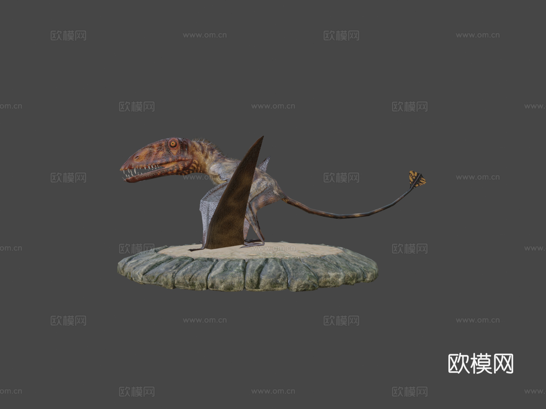 双型齿翼龙3d模型