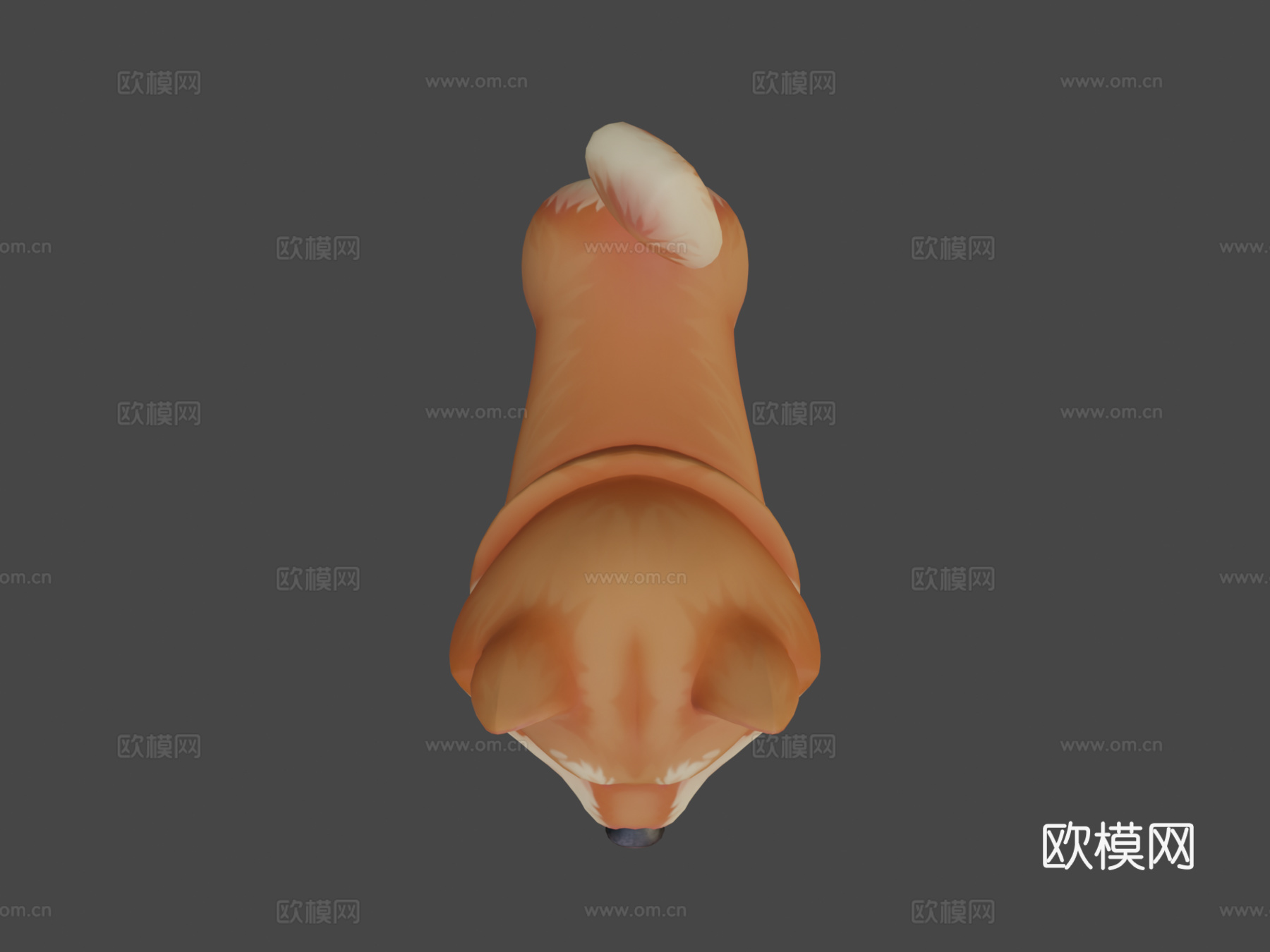 柴犬铁雄3d模型